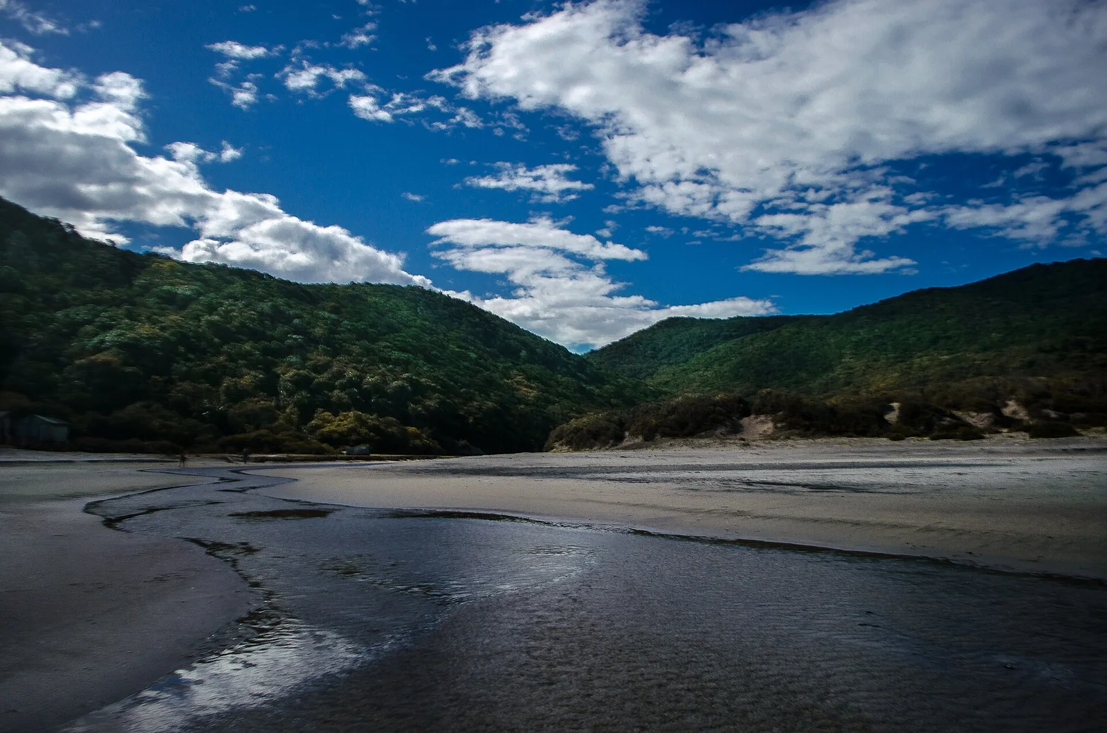 The empty sand of Praia de Naufragados at the island’s southern tip, dark forested hills rising behind the beach
