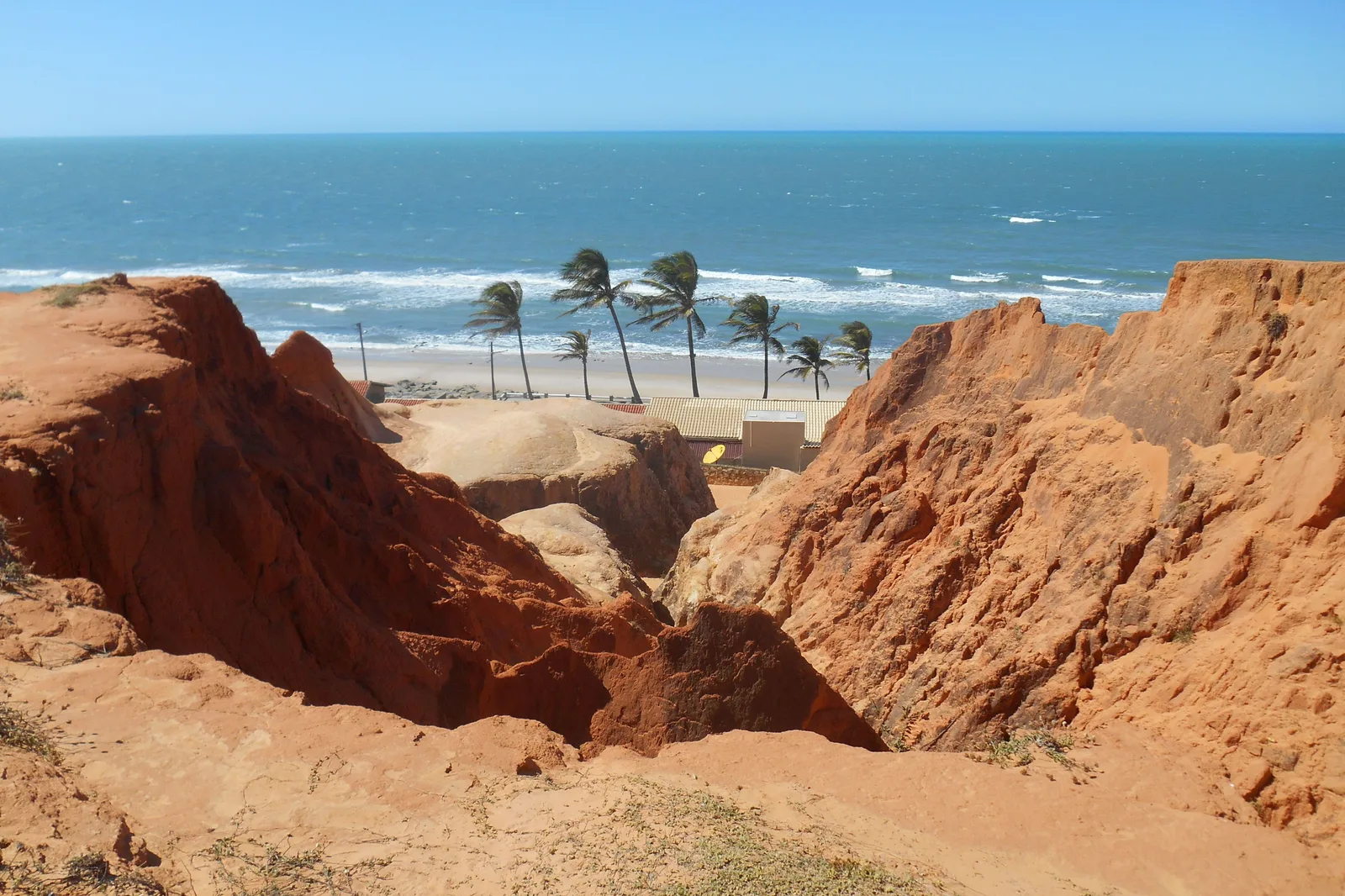 The eroded red and cream cliffs at Beberibe with a cluster of coconut palms standing in a notch between them and the sea beyond