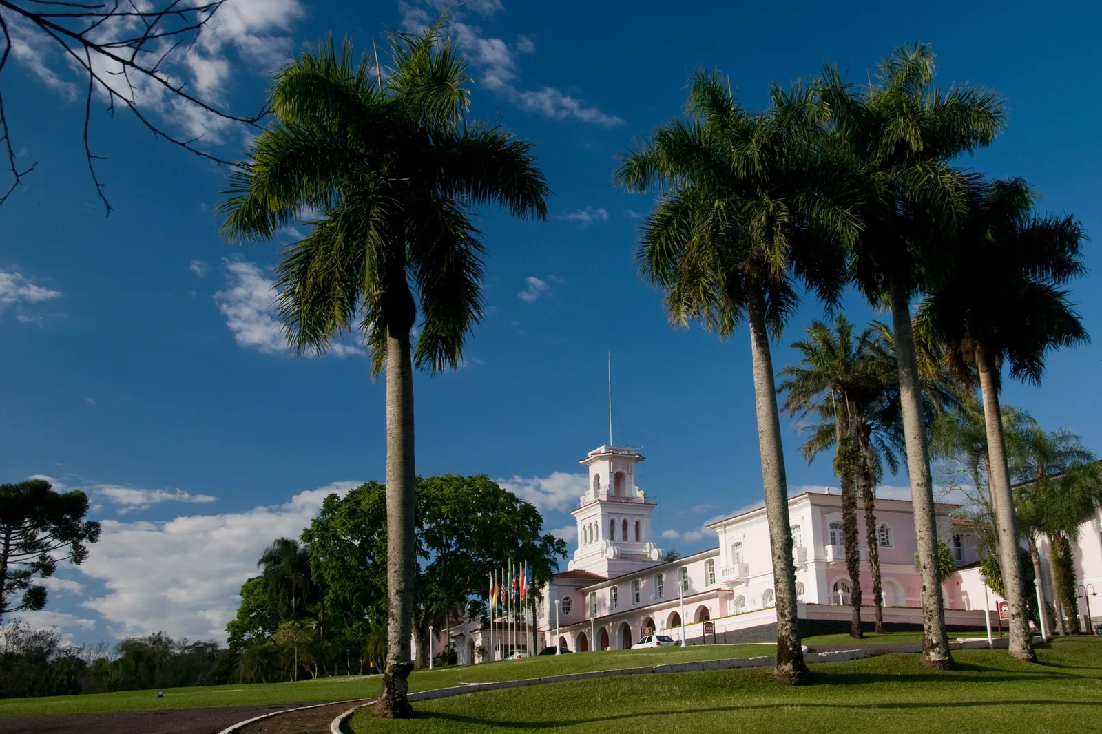 The pink and white Hotel das Cataratas behind a row of tall royal palms on a clear day