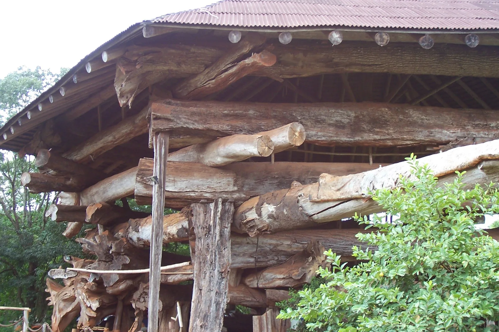 The timber frame of La Aripuca seen from below, huge rough-cut hardwood trunks stacked and leaning together under its roof
