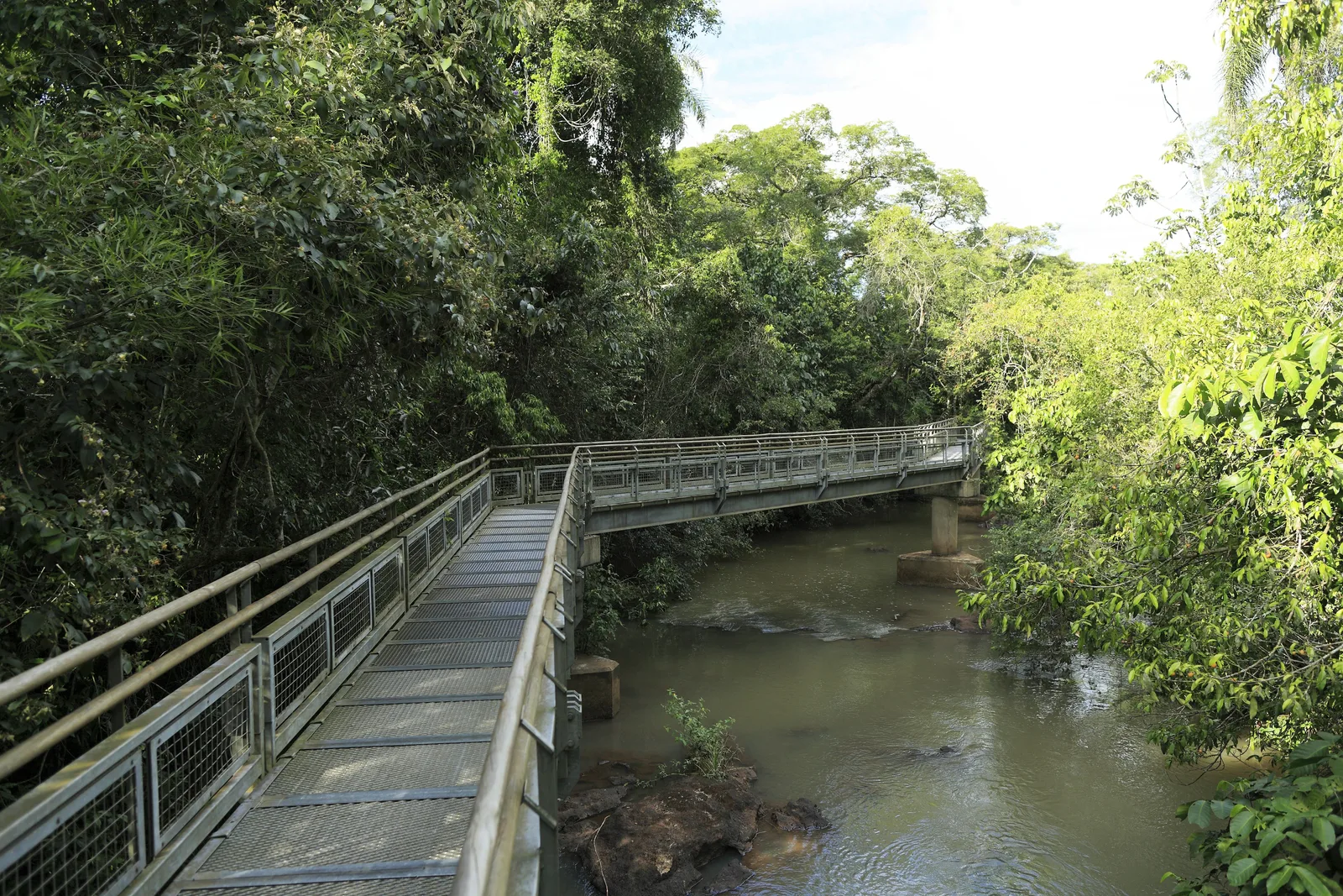 A steel boardwalk on the Argentine Upper Circuit crossing the river on its way back through the forest, the water sliding past just below the grating