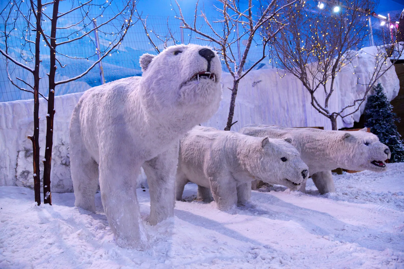 Three life-size polar bear figures standing in artificial snow among bare white trees under blue-lit walls inside Snowland