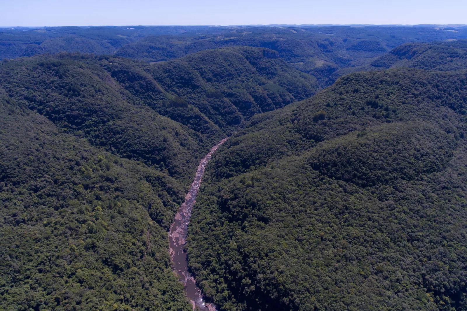 A deep forested valley seen from the air, a river glinting along the bottom of it and wooded ridges running to the horizon