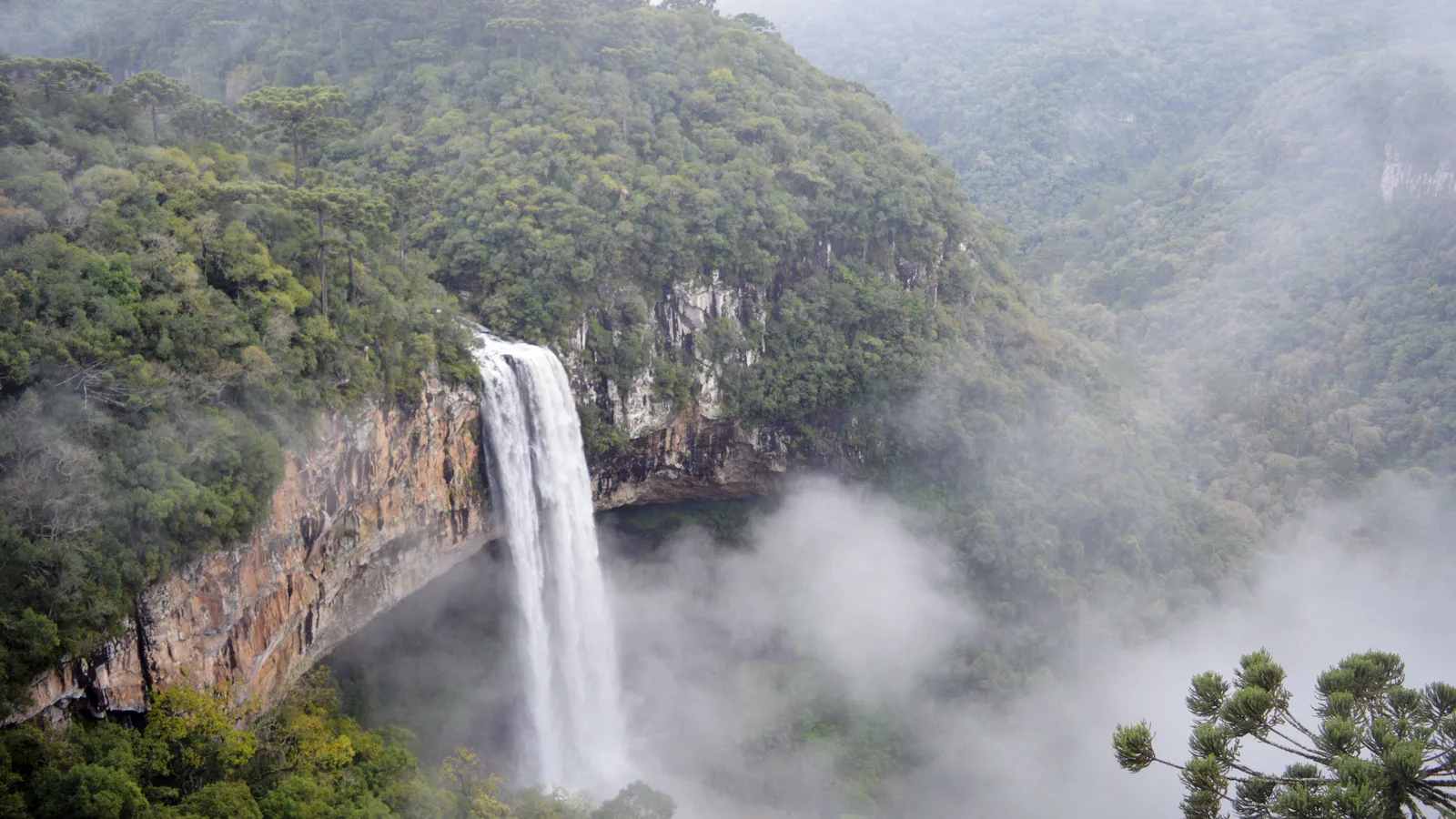 The Caracol waterfall falling in a single white column from a curved rock cliff into a forested gorge, with mist rising out of the gorge and an araucaria branch in the lower right corner