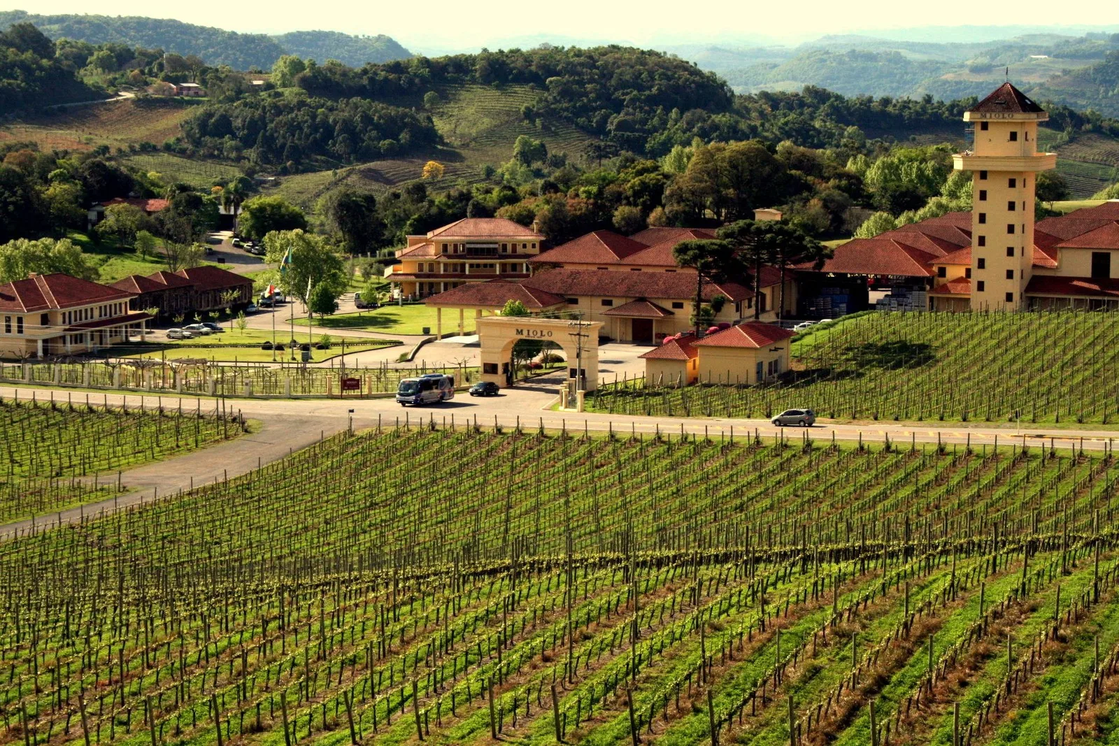 Rows of vines in the Vale dos Vinhedos in front of the Miolo winery buildings and their tower, with wooded hills behind
