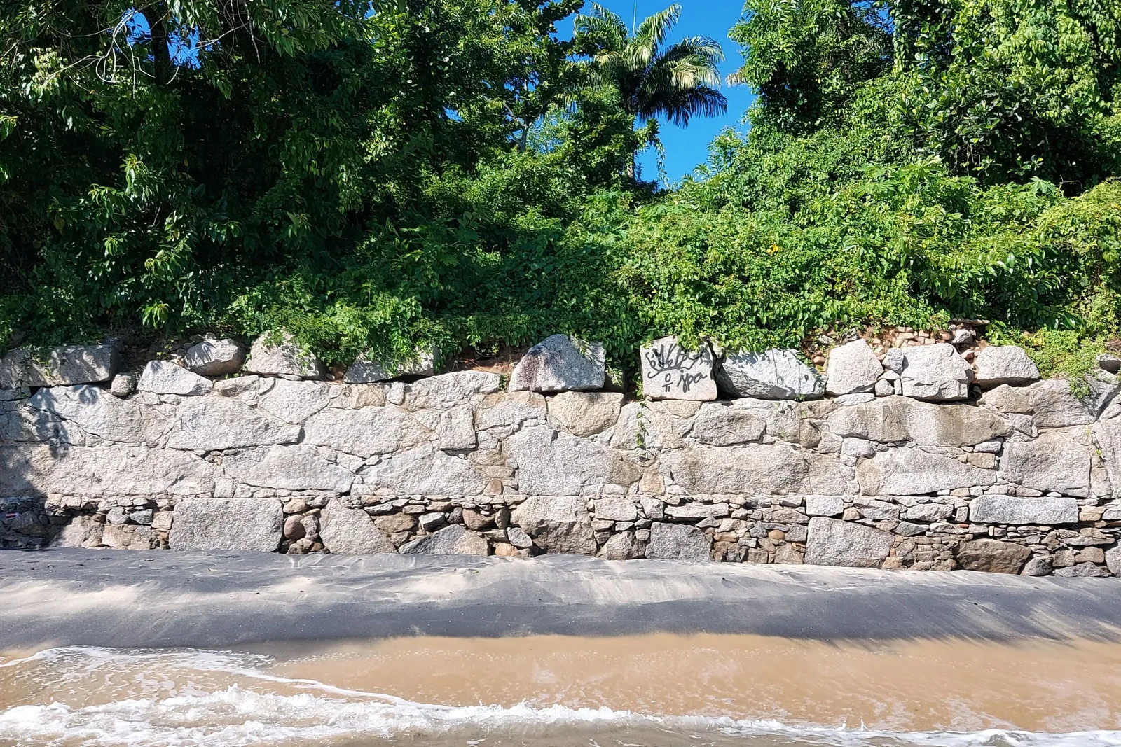 The long stone remains of the Lazareto quarantine station on Ilha Grande, forest growing over the walls