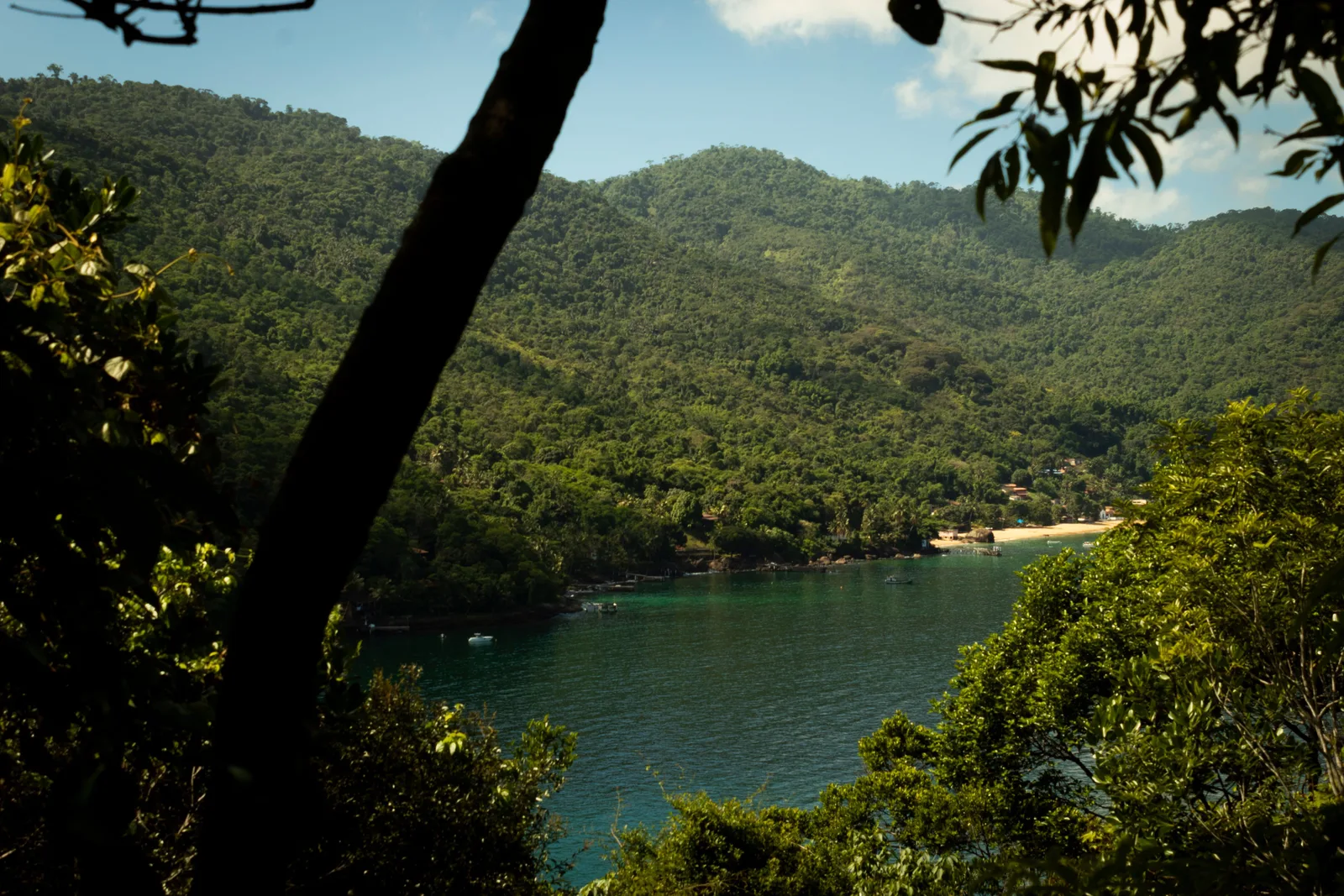 A quiet cove on Ilha Grande’s sheltered side seen through the trees from the slope above it
