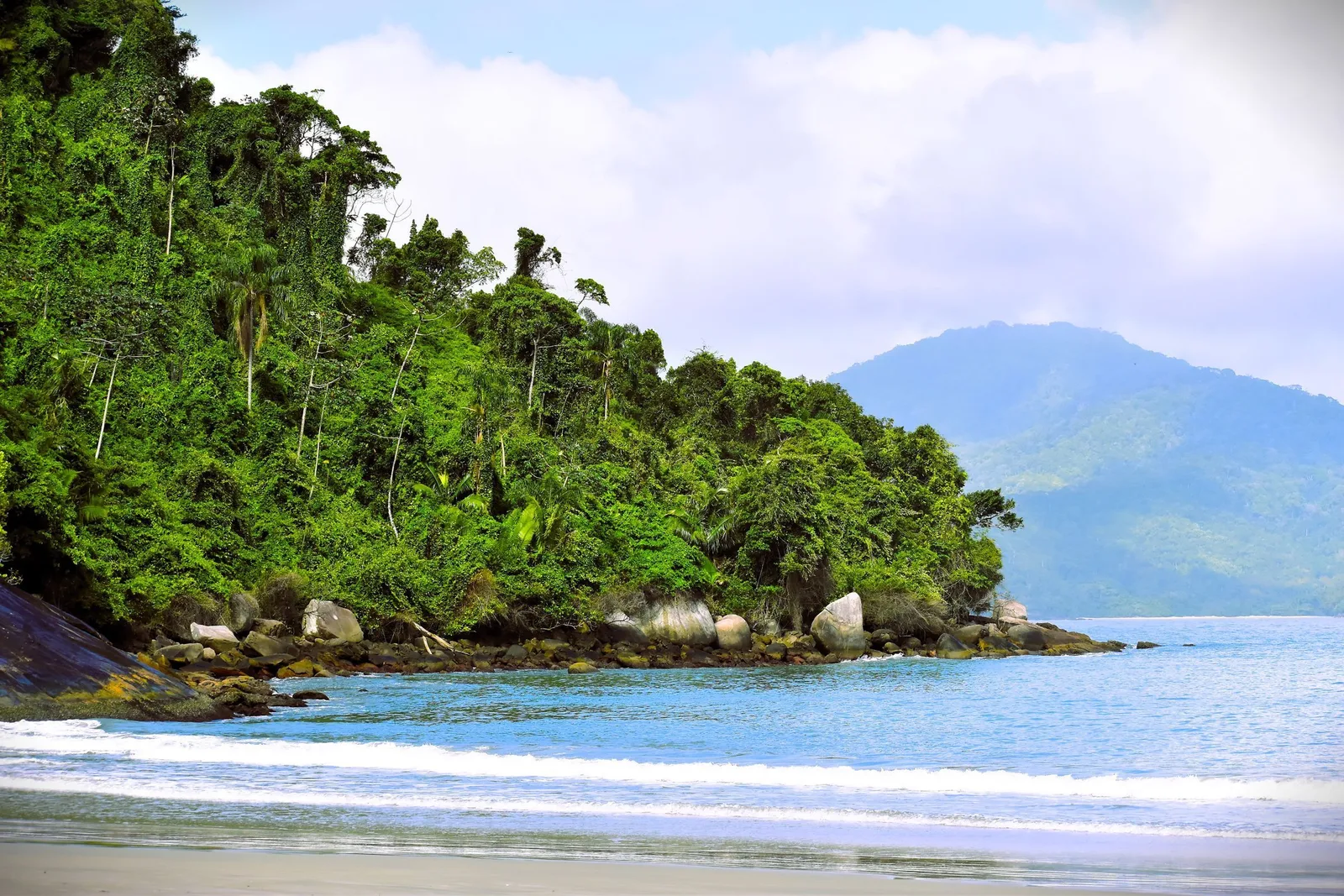 A forested headland running down to a wide curve of sand with surf breaking along it
