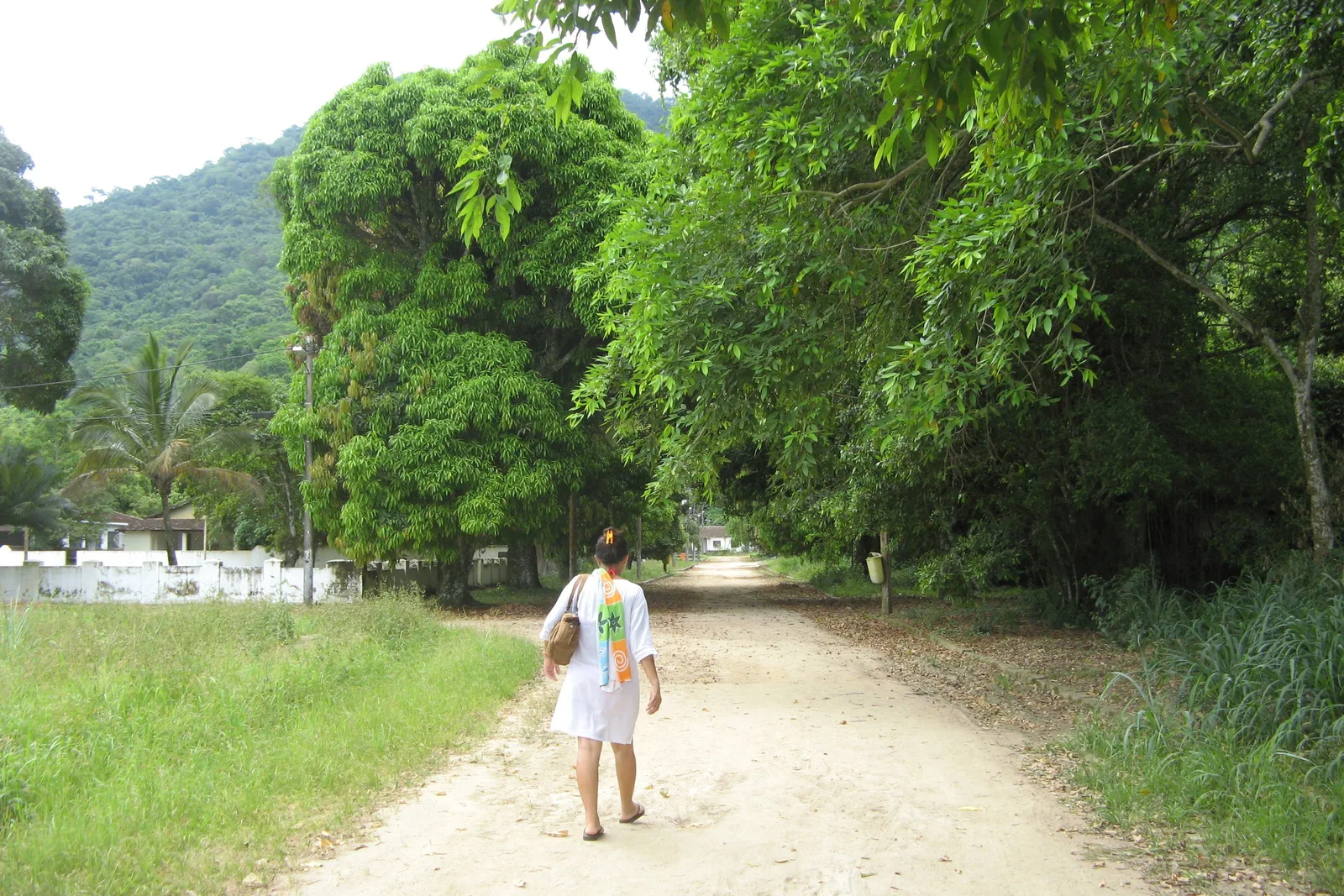 The broad earth road to Dois Rios running through forest, a walker on it and dense green closing in on both sides