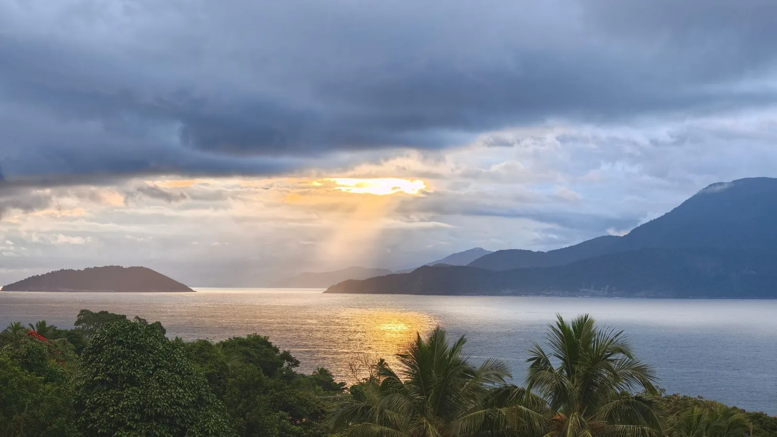 Sunset over a forested tropical island, palms silhouetted against the light and the sea going gold