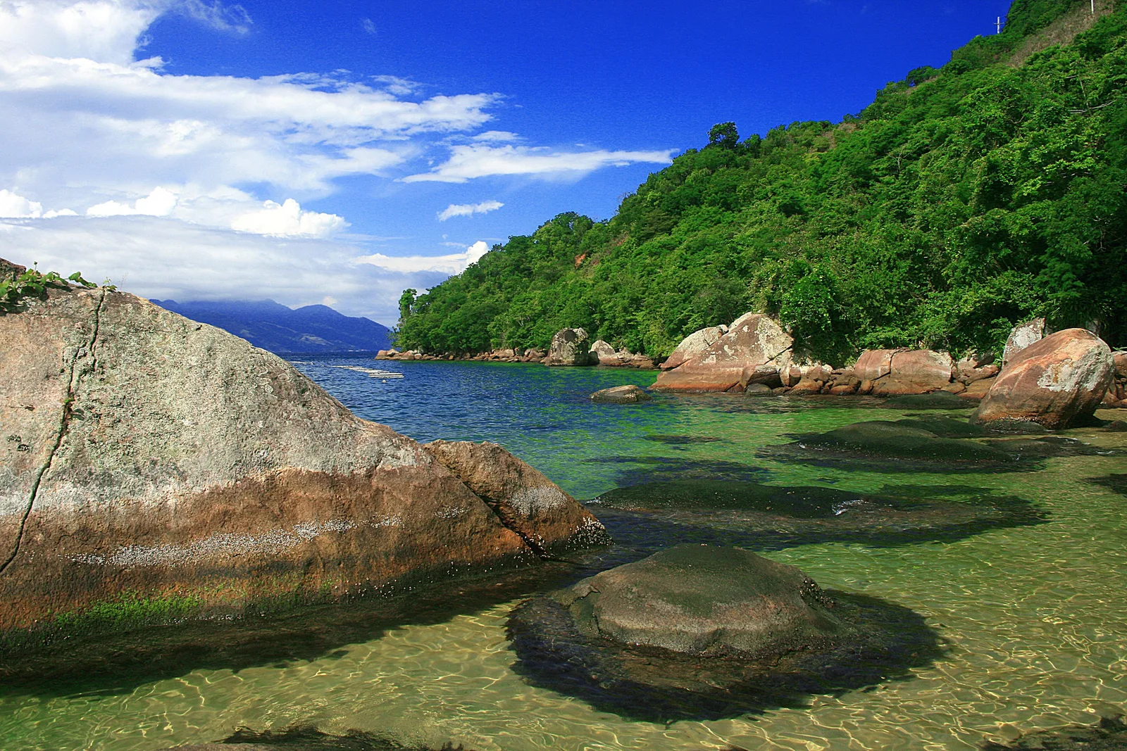 Clear green water over rocks at Praia da Feiticeira, a forested hillside running down to the sea