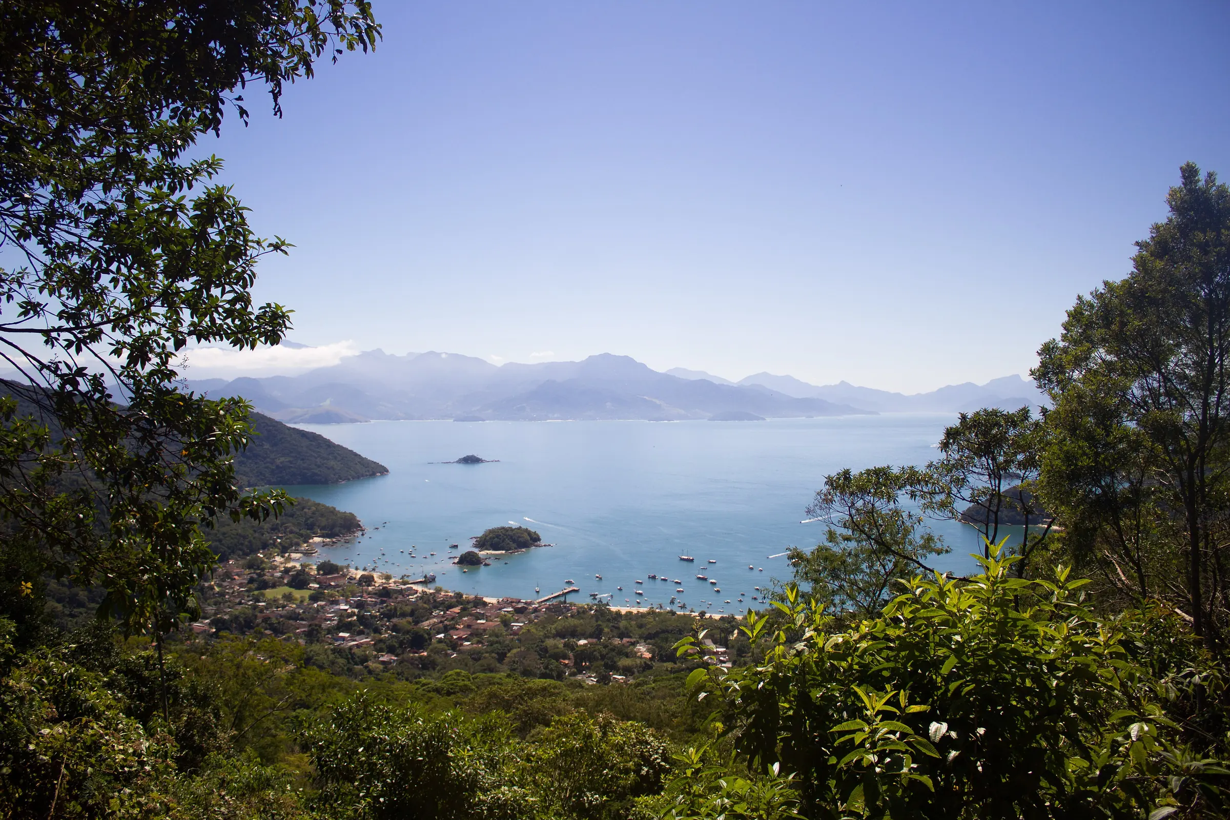 Forested peaks meeting the sea on Ilha Grande