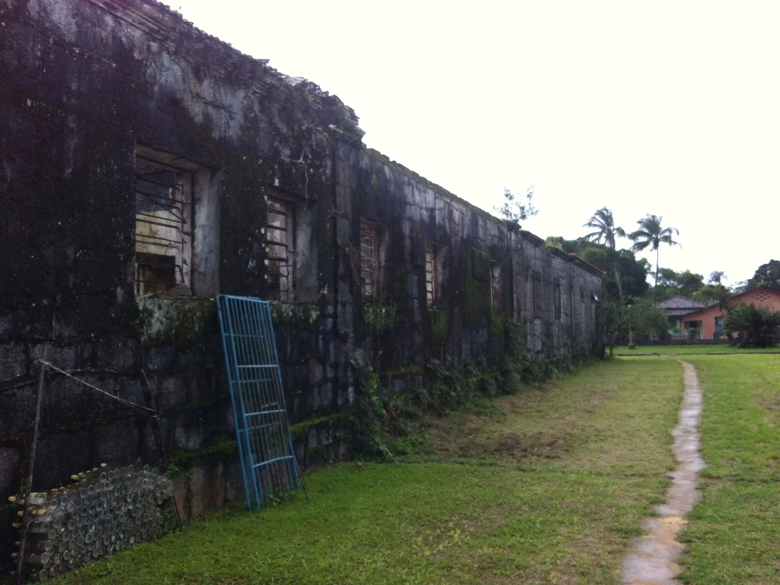 The derelict shell of the Cândido Mendes prison at Dois Rios, empty window openings and peeling paint with forest growing in around it