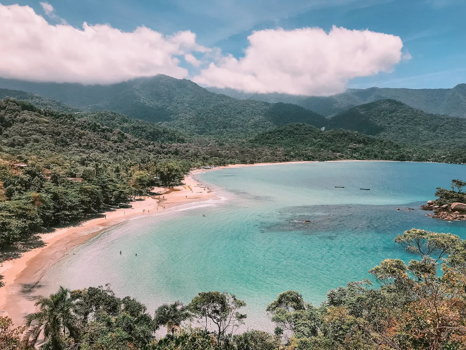 A long unbroken curve of pale sand from the air, surf running its whole length and dense forest behind it