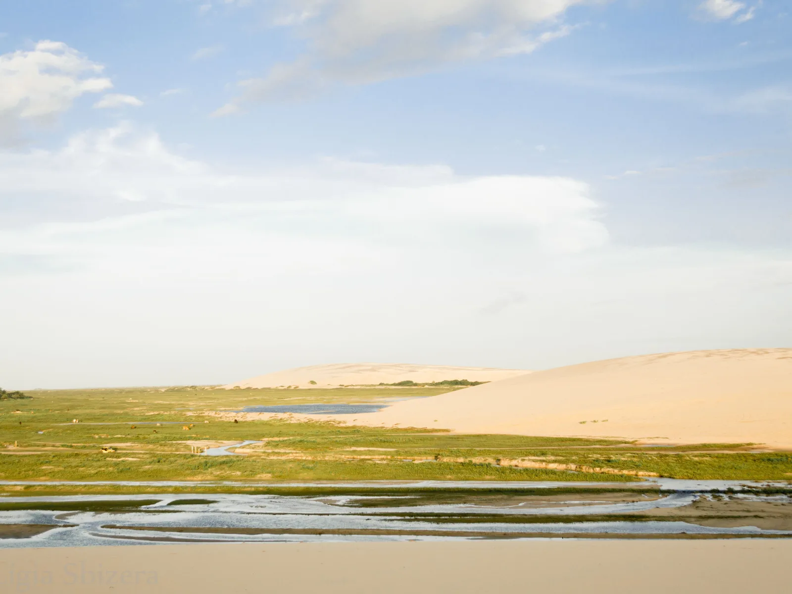 A high pale dune wall running along behind flat green wetland and shallow standing water, under a blue sky with scattered white cloud