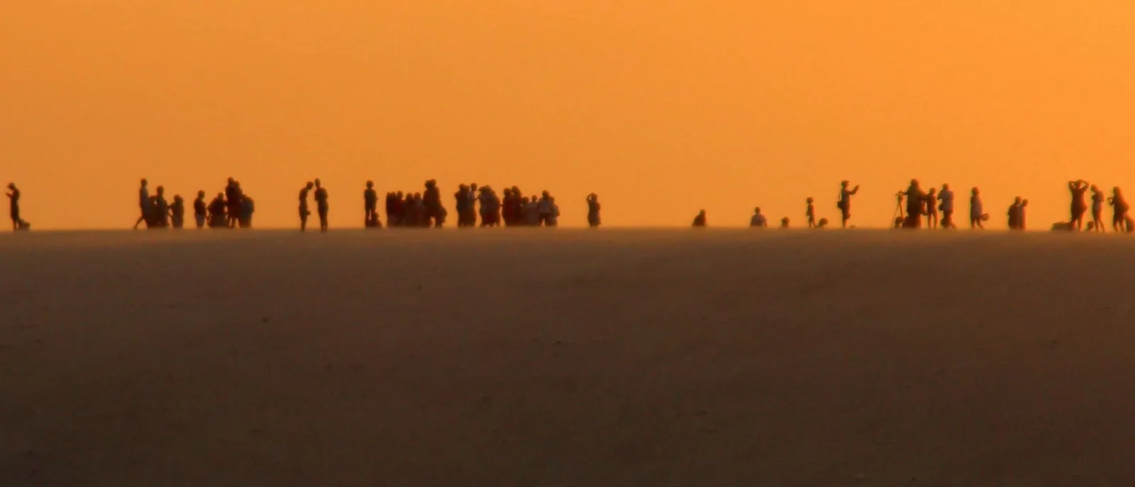 A line of people standing in silhouette along the crest of a dune against a flat orange sky at sunset