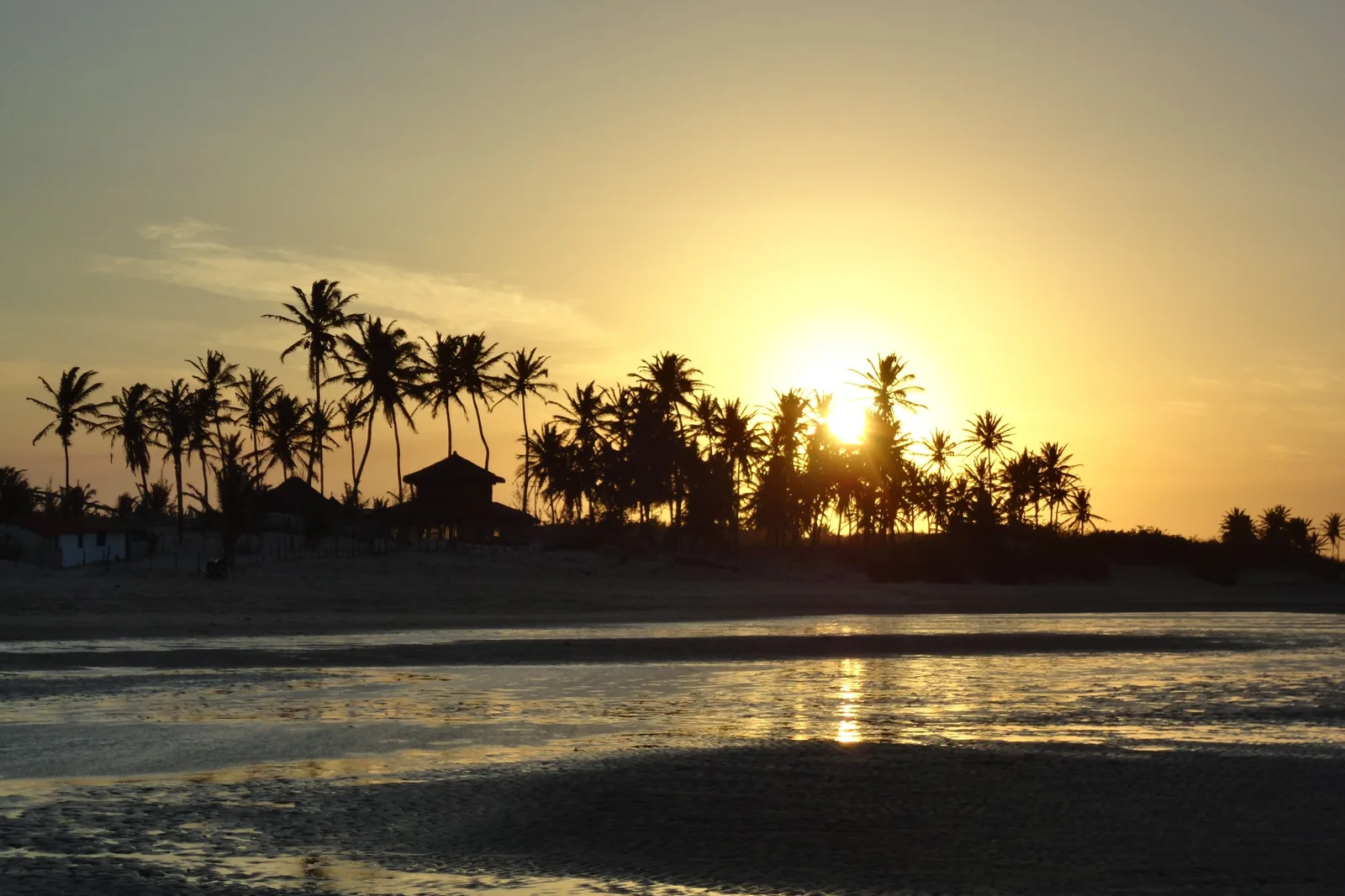 Sunset behind a line of coconut palms at Tatajuba, the light reflected on wet sand and shallow water in front of them