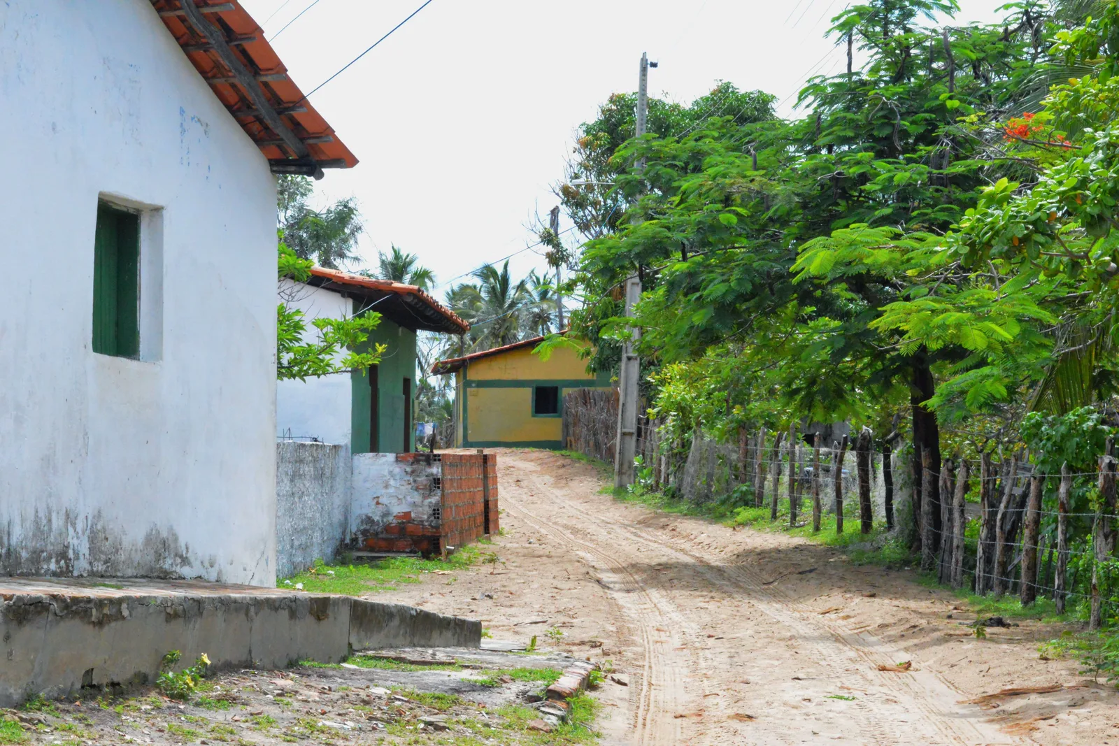 A sandy lane in Atins running between a whitewashed house with green window frames and a dense hedge of scrub and palms