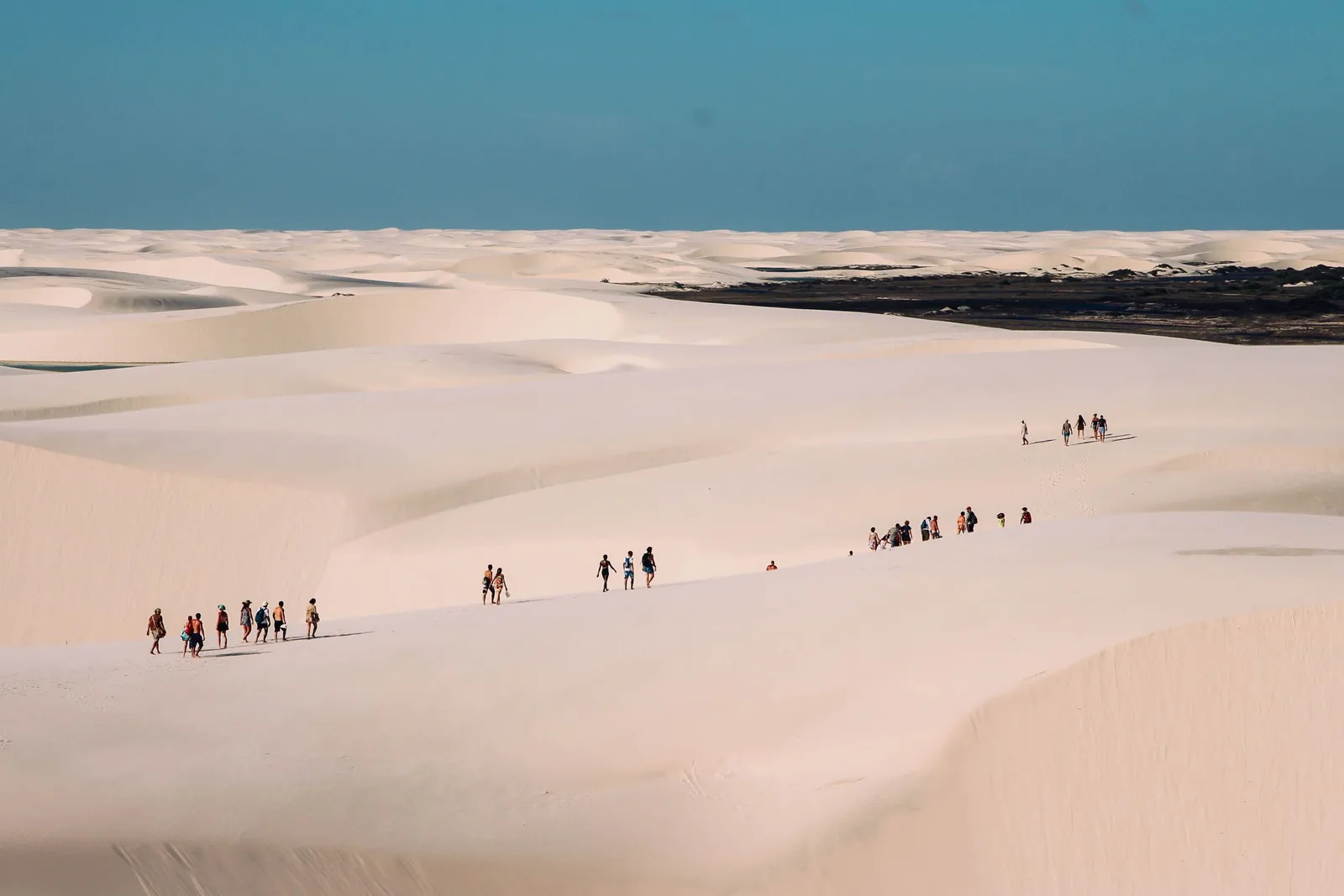 Two straggling lines of people crossing a wide pale dune plain under a bright hazy sky, with a dark band of vegetation along the far horizon