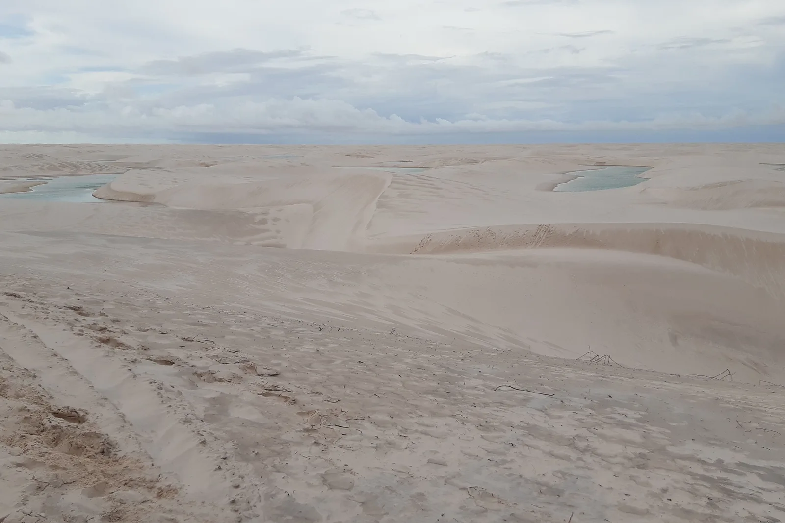 The dune field in March: a flat pale plain of sand under an overcast sky with only shallow, scattered pools of water in the hollows