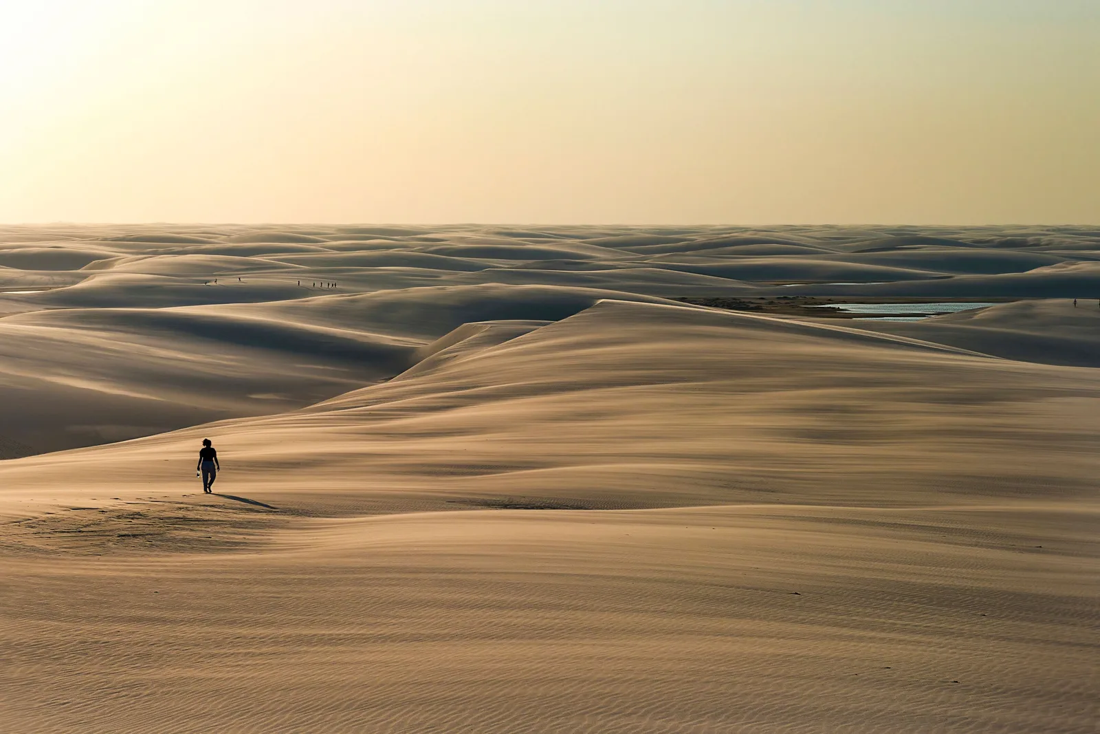 A single walker crossing an enormous field of smooth gray-gold dunes at dusk, small enough in the frame to be almost lost in it