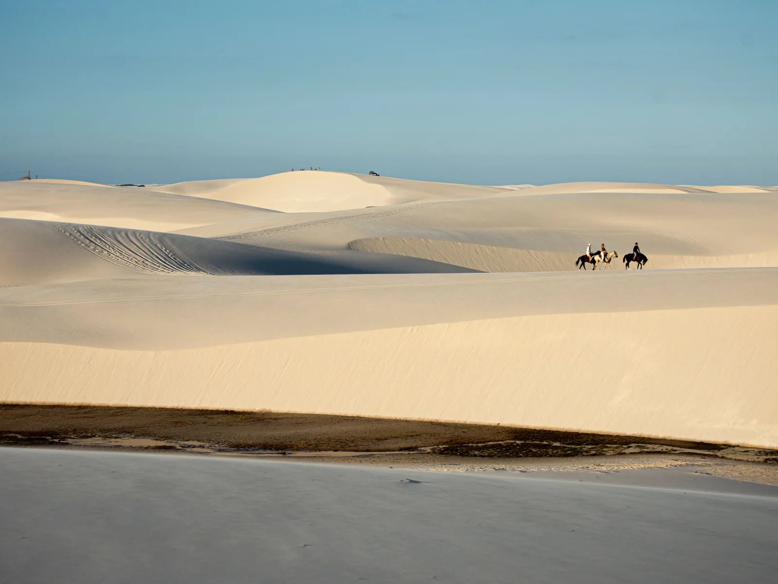 A vast plain of pale dunes running to the horizon in low sun, a dried dark interdune flat crossing the foreground, and three riders on horseback so small in the middle distance that they read as specks