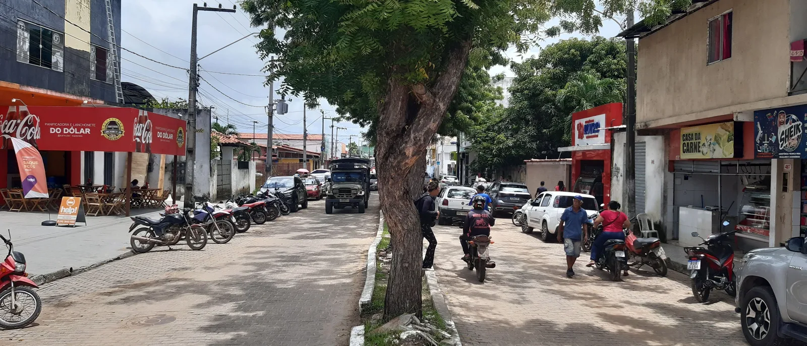 A commercial street in Barreirinhas with a big shade tree in the middle of it, motorbikes parked in ranks along both curbs and shopfronts under awnings behind them