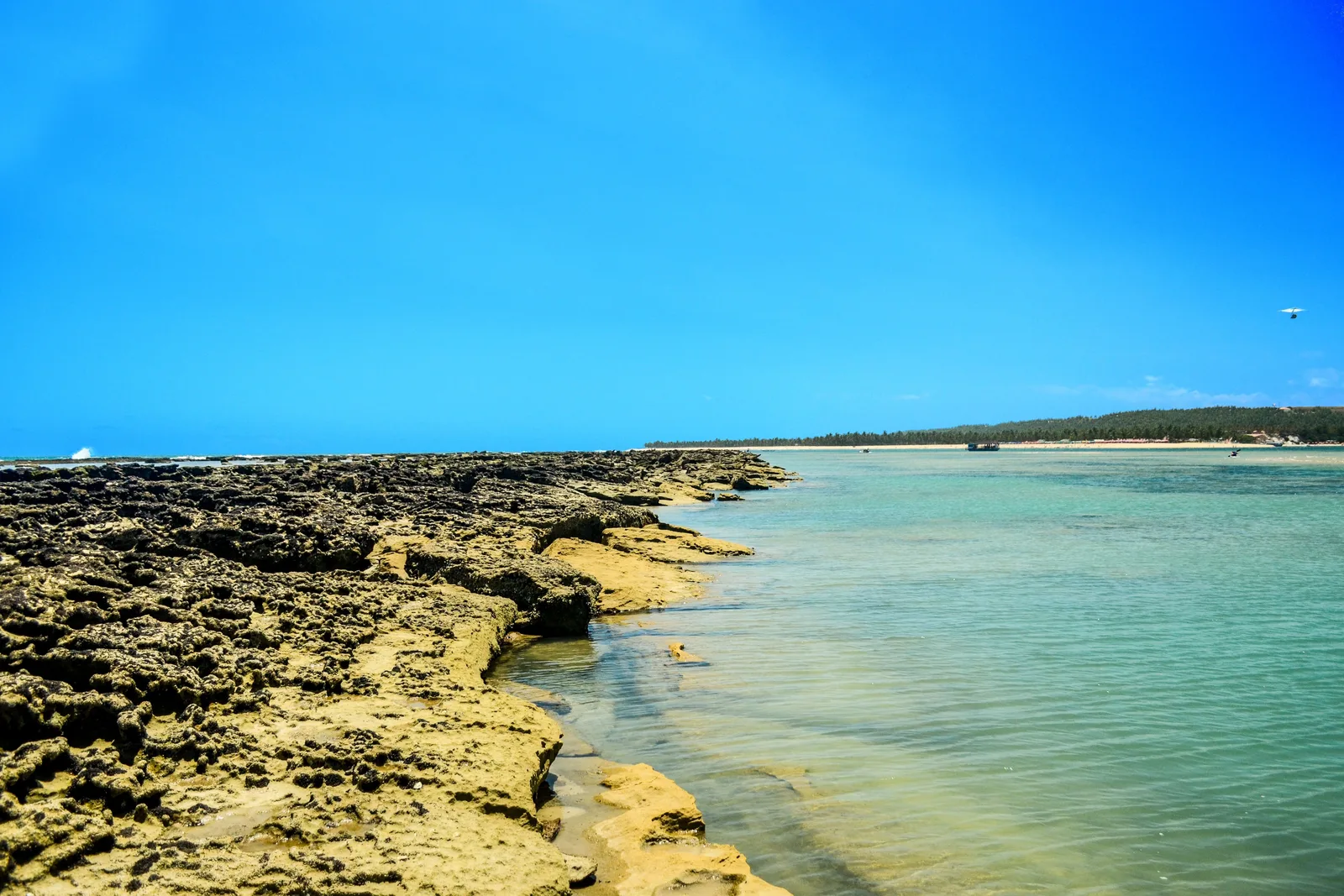 Dark reef rocks standing out of clear turquoise water at Barra de São Miguel with the open sea beyond them