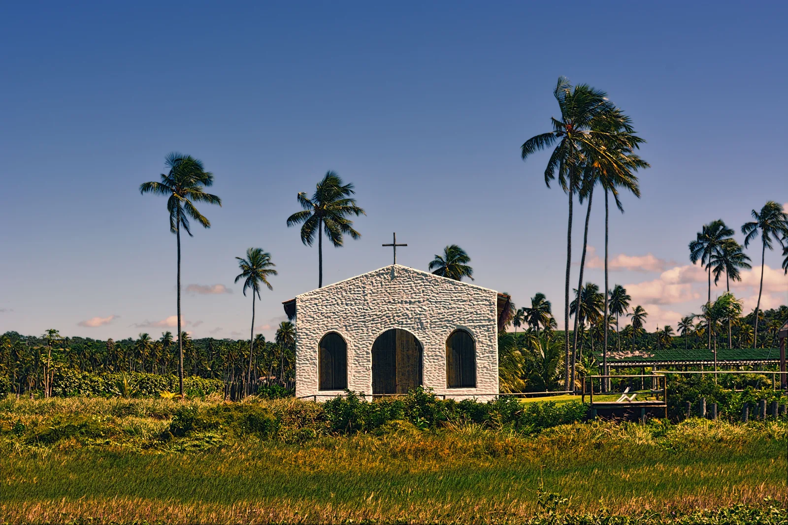 A small white chapel with a single cross on its gable standing among tall coconut palms under a blue sky
