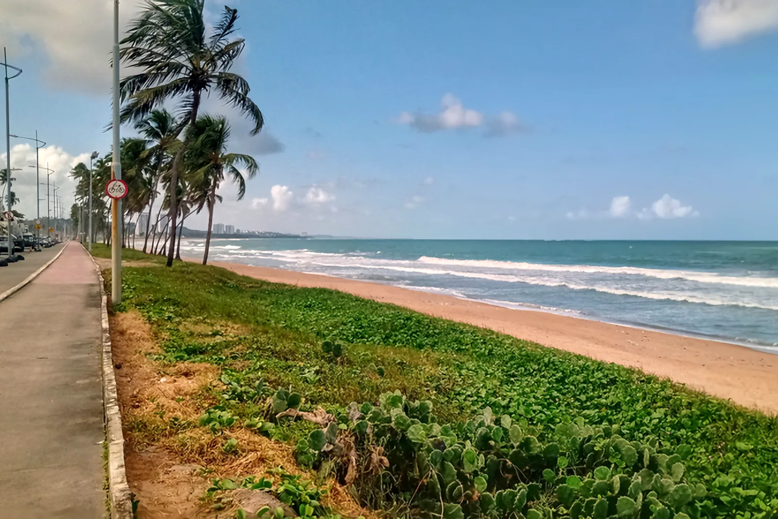 The beach at Cruz das Almas: white surf running up a broad strip of sand with low green vegetation in the foreground and coconut palms along the shore