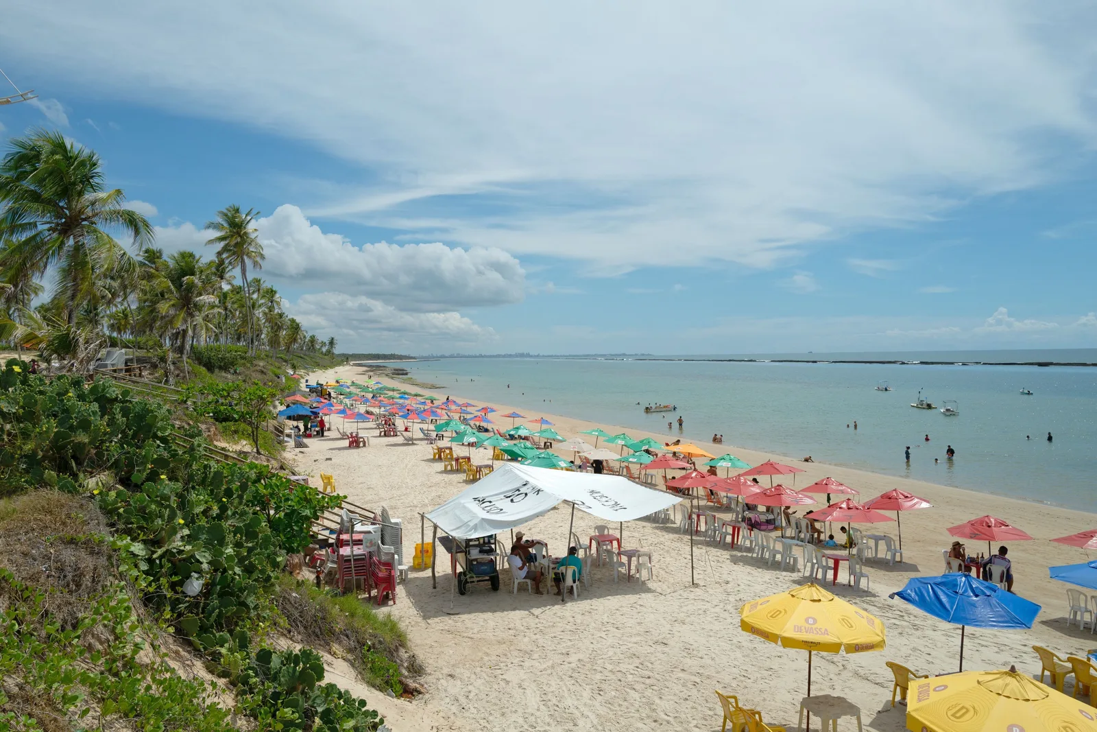 Praia do Francês from the low cliff above it: rows of colored parasols and tables along the sand, palms in the foreground and green shallow water beyond