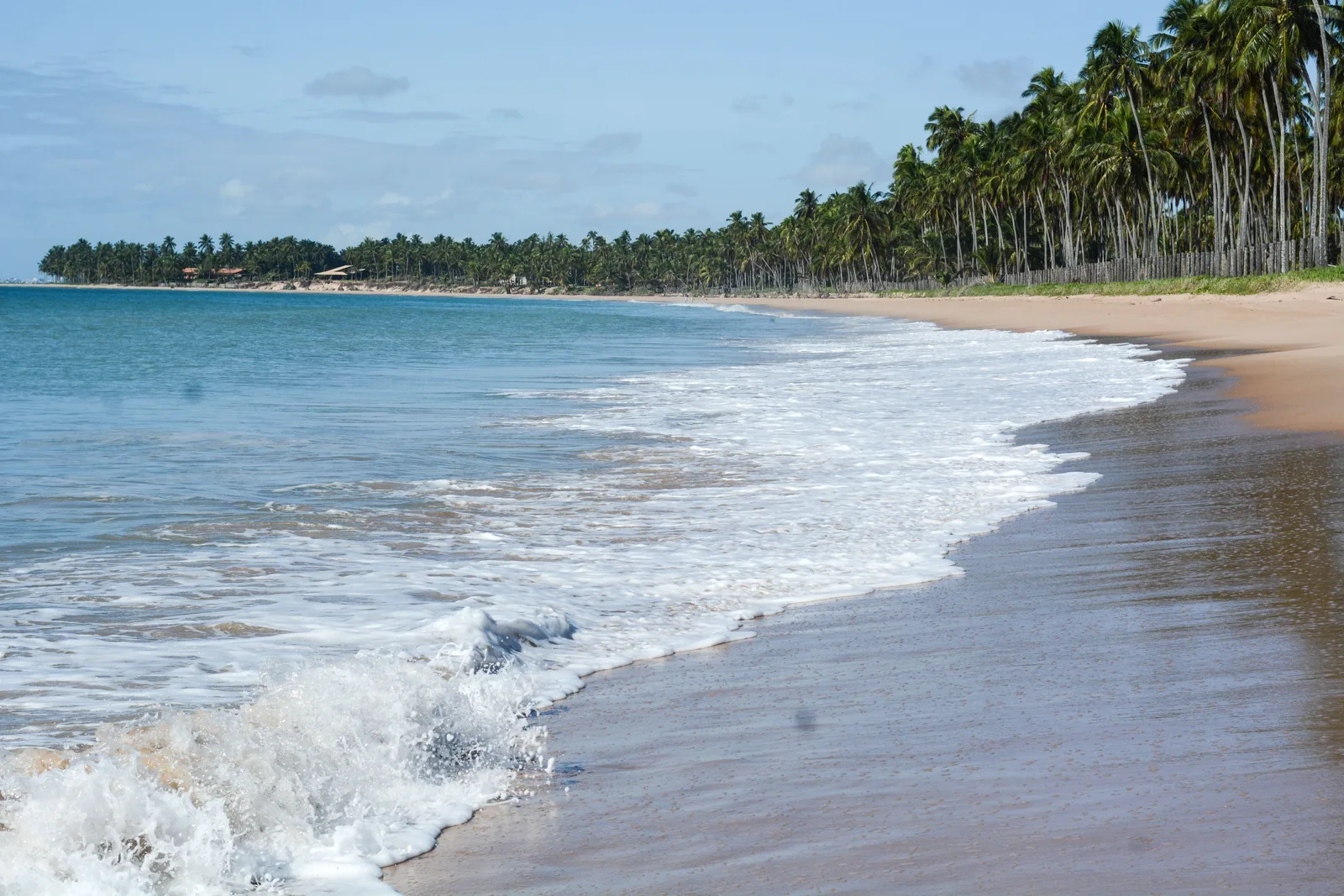 The empty beach at Ipioca: white surf running up pale sand in front of a long unbroken line of coconut palms, with one low building just visible among them far down the shore