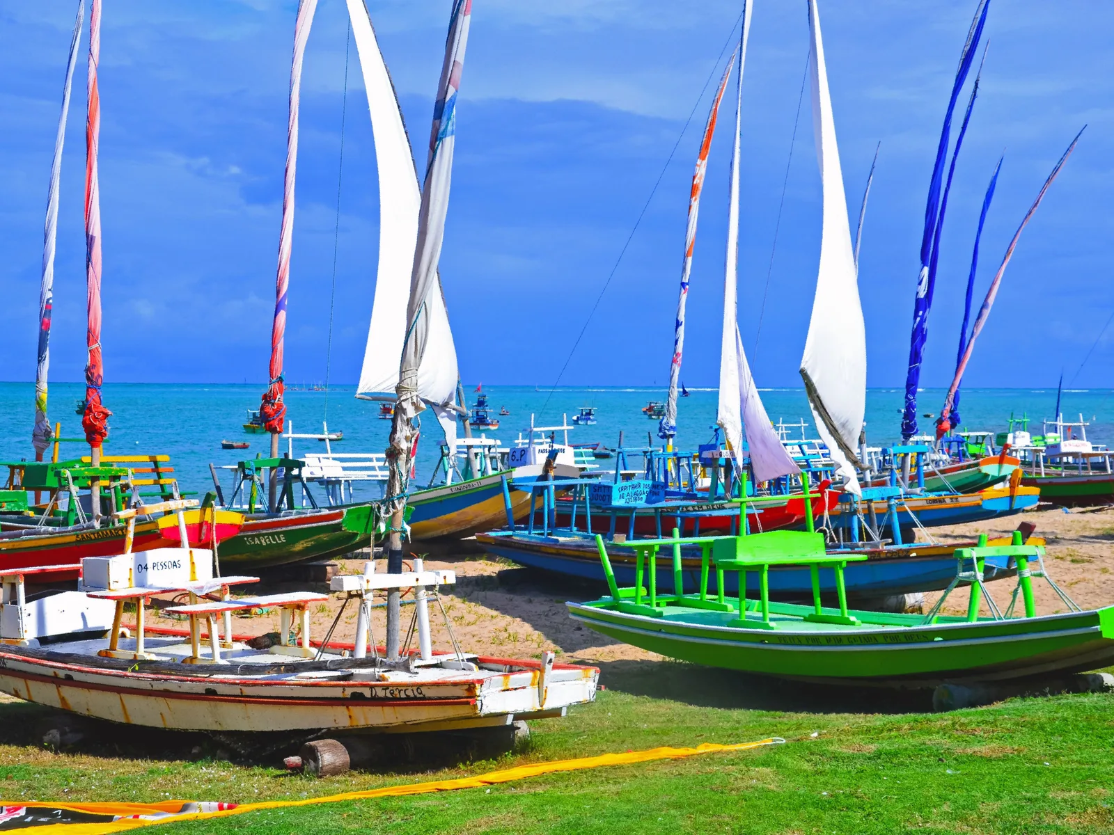 A row of jangadas hauled up on the grass at Pajuçara with their tall white sails hoisted, turquoise sea and a line of moored boats behind them