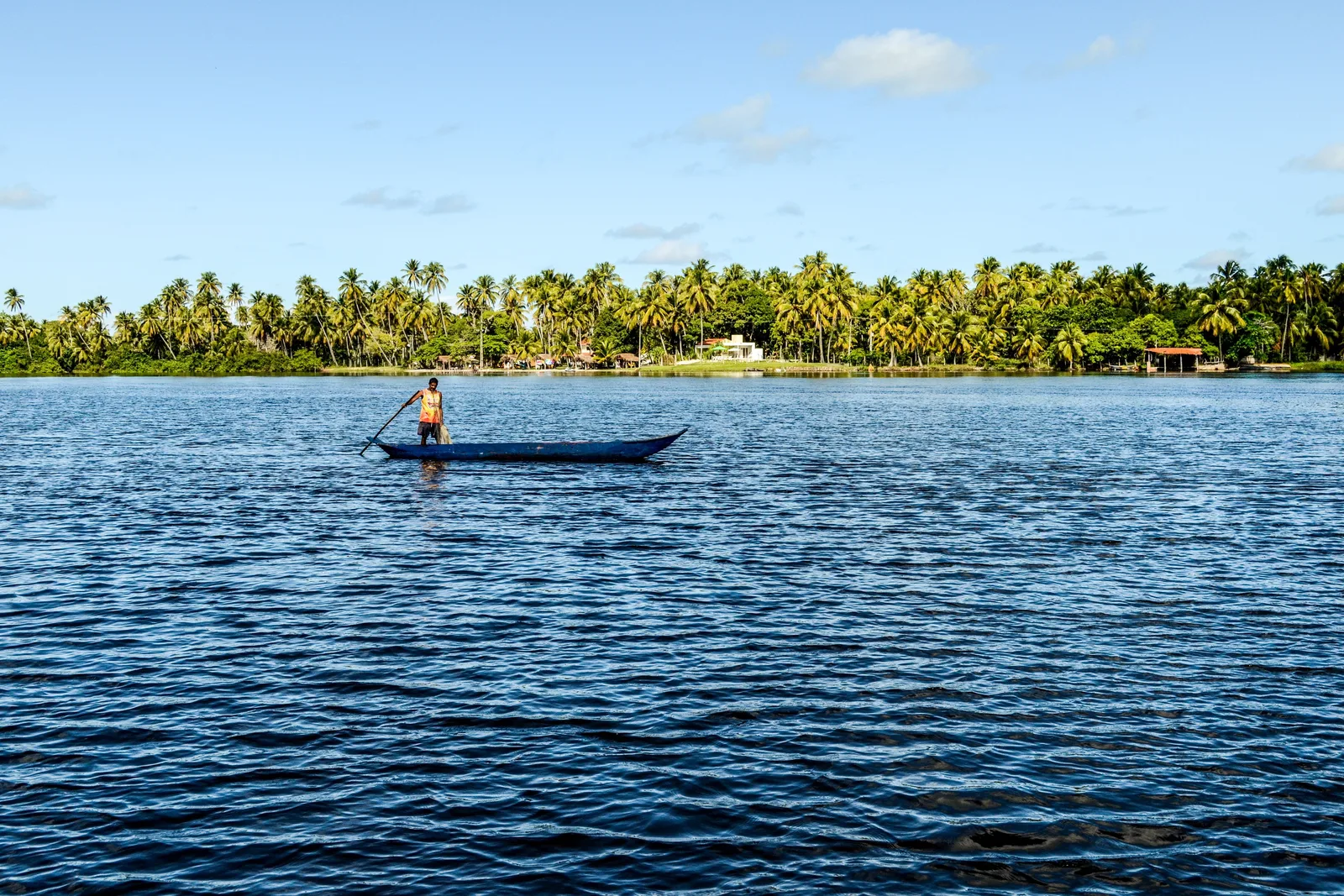 A man standing in a small wooden canoe on the deep blue water of the Mundaú lagoon, a low shore of dense coconut palms behind him