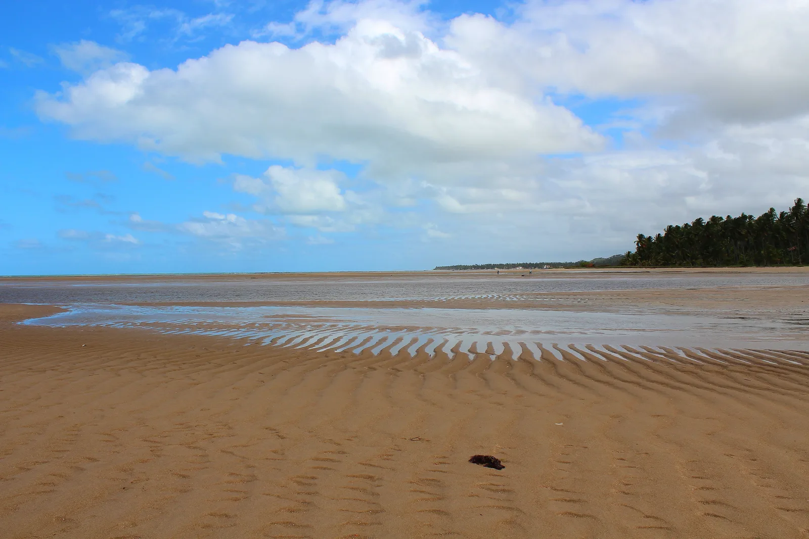 The tide far out at Maragogi: a vast rippled sand flat under shallow water stretching away to a distant line of coconut palms