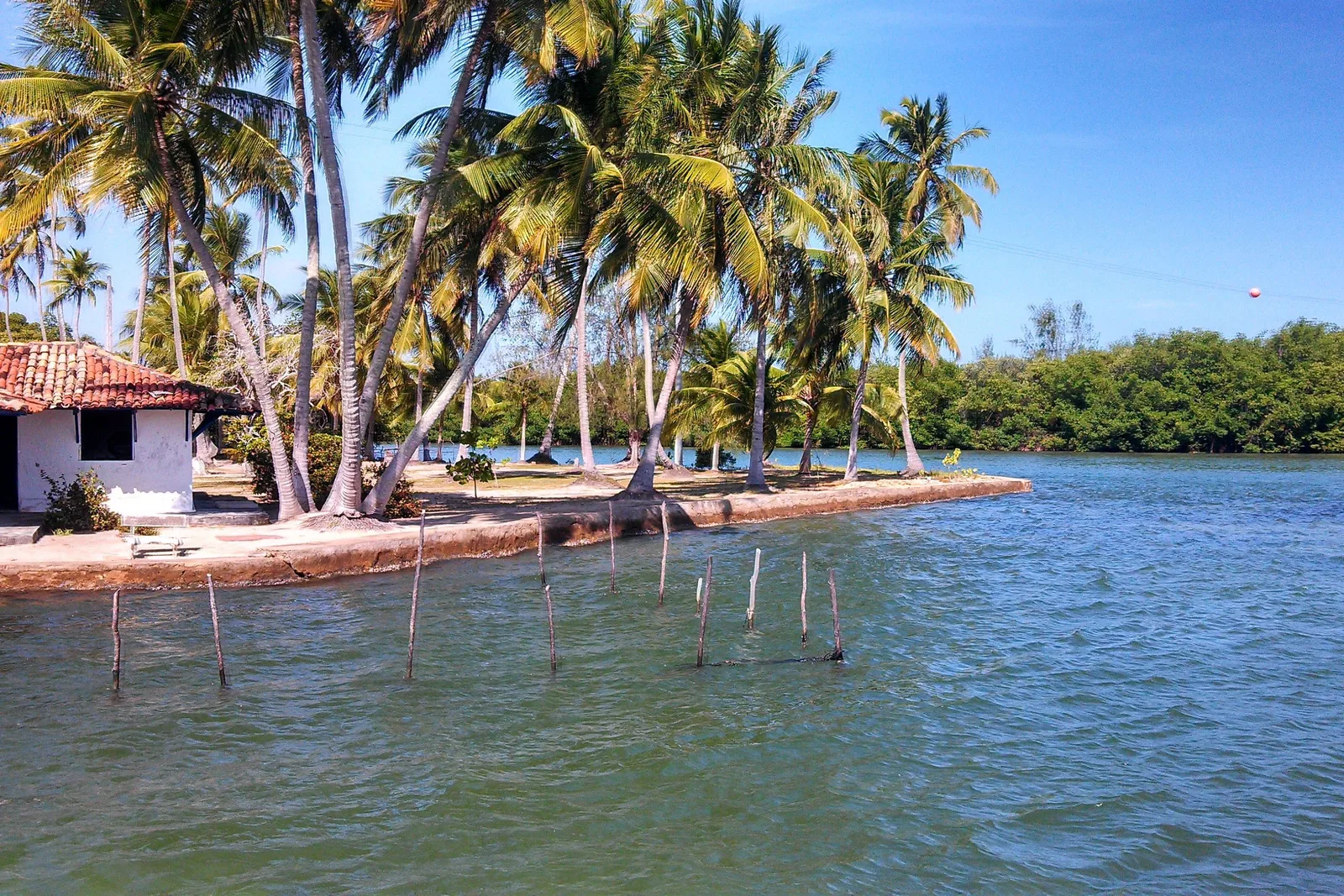 One of the islands on the Mundaú lagoon: a red-roofed house under tall coconut palms on a low spit of sand, with wooden stakes standing in the shallow water in front