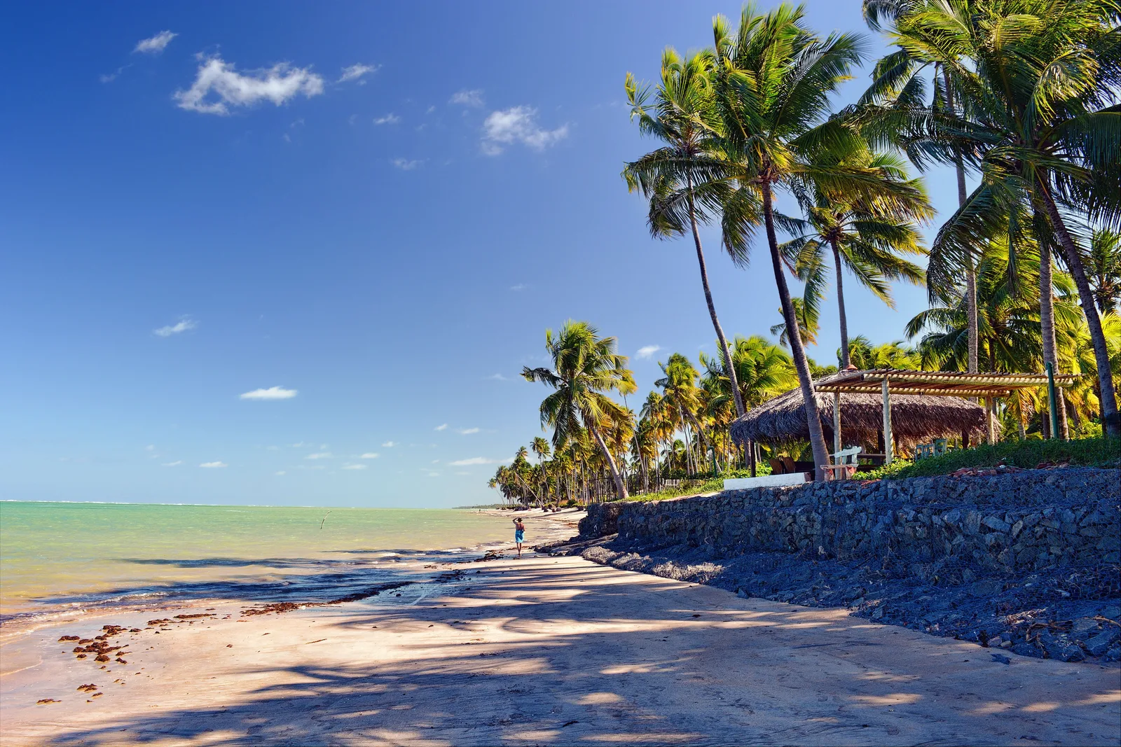 Coconut palms leaning out over the white sand at Praia do Patacho, with clear shallow water and a low reef line running along beyond them