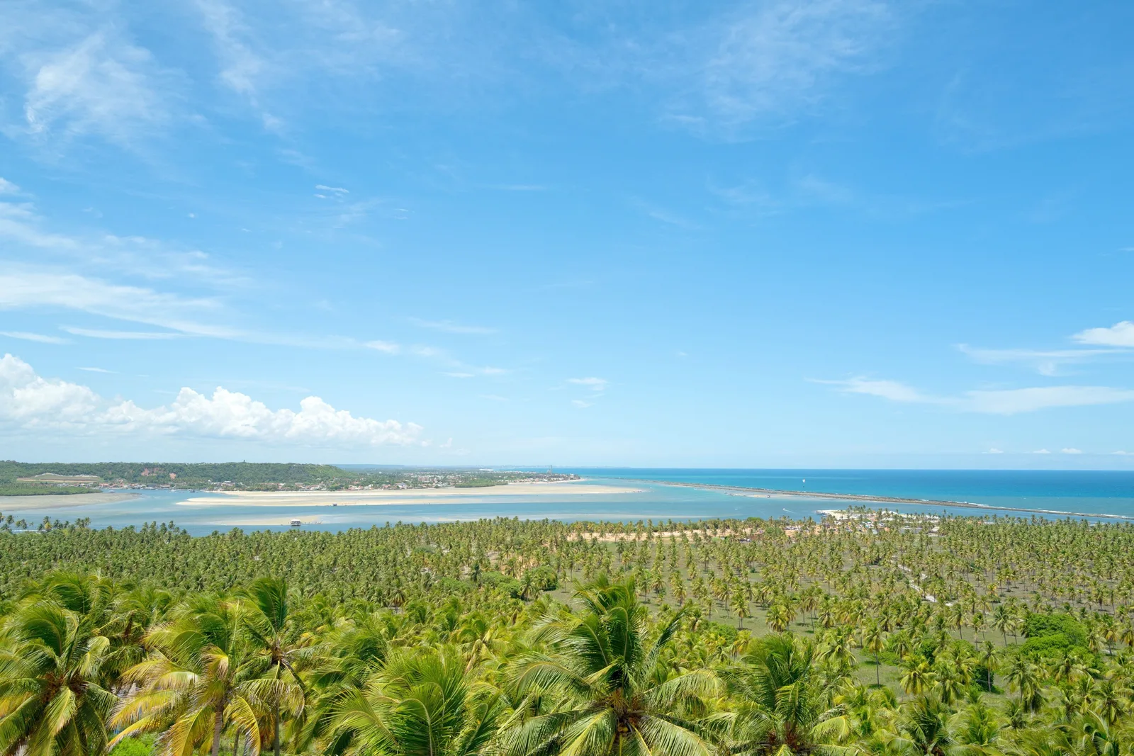 Praia do Gunga from above the cliffs: a huge coconut plantation running down to a pale sandspit with turquoise water on both sides of it