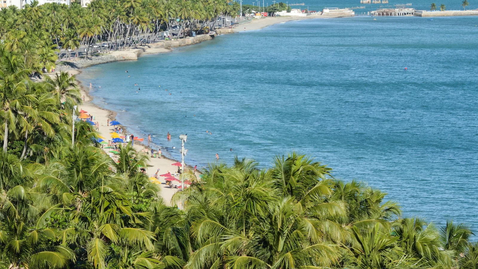 The Maceió seafront from above: coconut palms in the foreground, a curve of pale sand lined with colored parasols behind a low stone seawall, and calm blue-green water running out to a stilted pier and a line of old pilings standing offshore