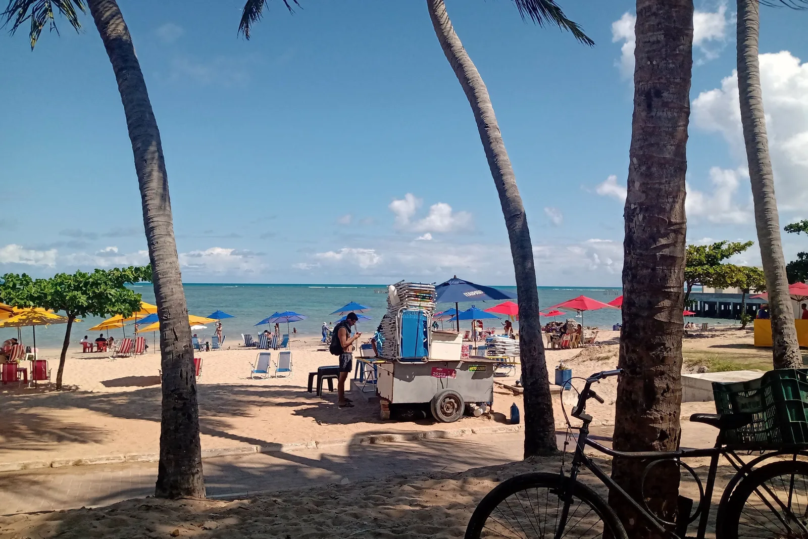 Beach kiosks and parasols under coconut palms along the sand at Ponta Verde, with bicycles parked in the shade and the sea beyond