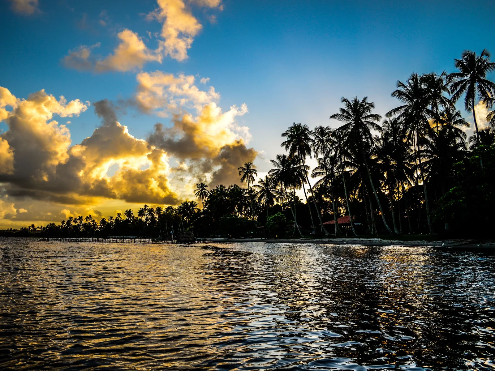 Late afternoon on the Mundaú lagoon: still water under a big cloudy sky with a low line of coconut palms silhouetted along the far shore