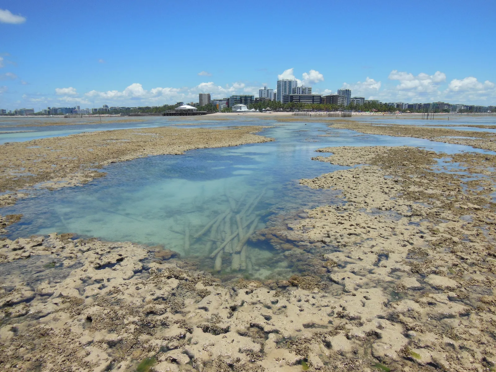 The reef off Maceió uncovered at low tide: a rough brown coral shelf with clear pools standing in it, the sea beyond and the white towers of the city along the horizon