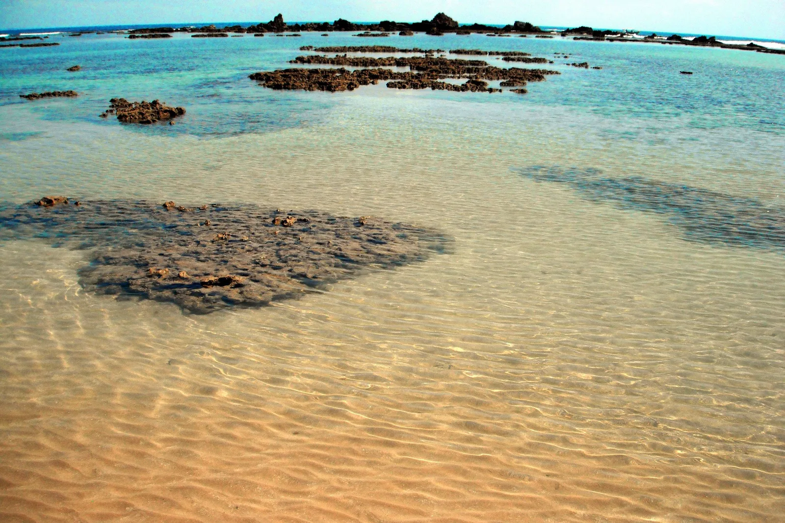 Clear shallow water over a shelf of dark reef at Segunda Praia, the reef showing through the surface in the foreground and a low green shoreline beyond