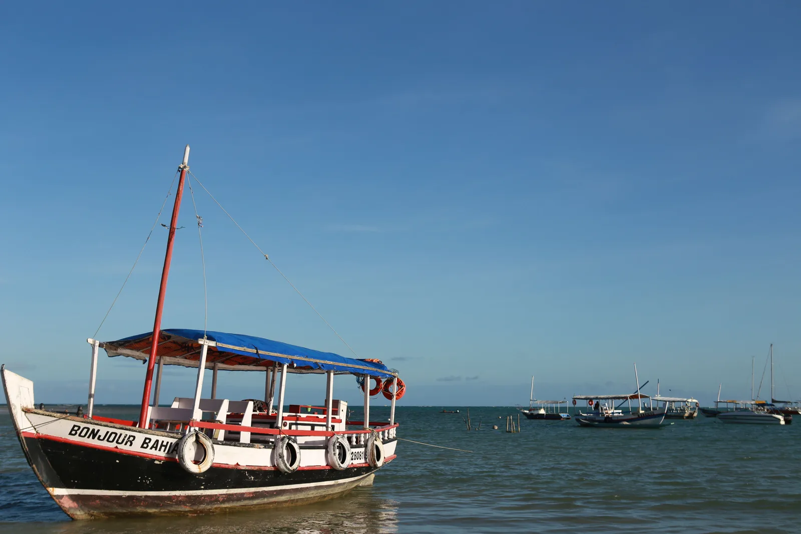 A wooden tour boat with a blue canopy standing in shallow water off a beach, with other boats and a low green shoreline behind it