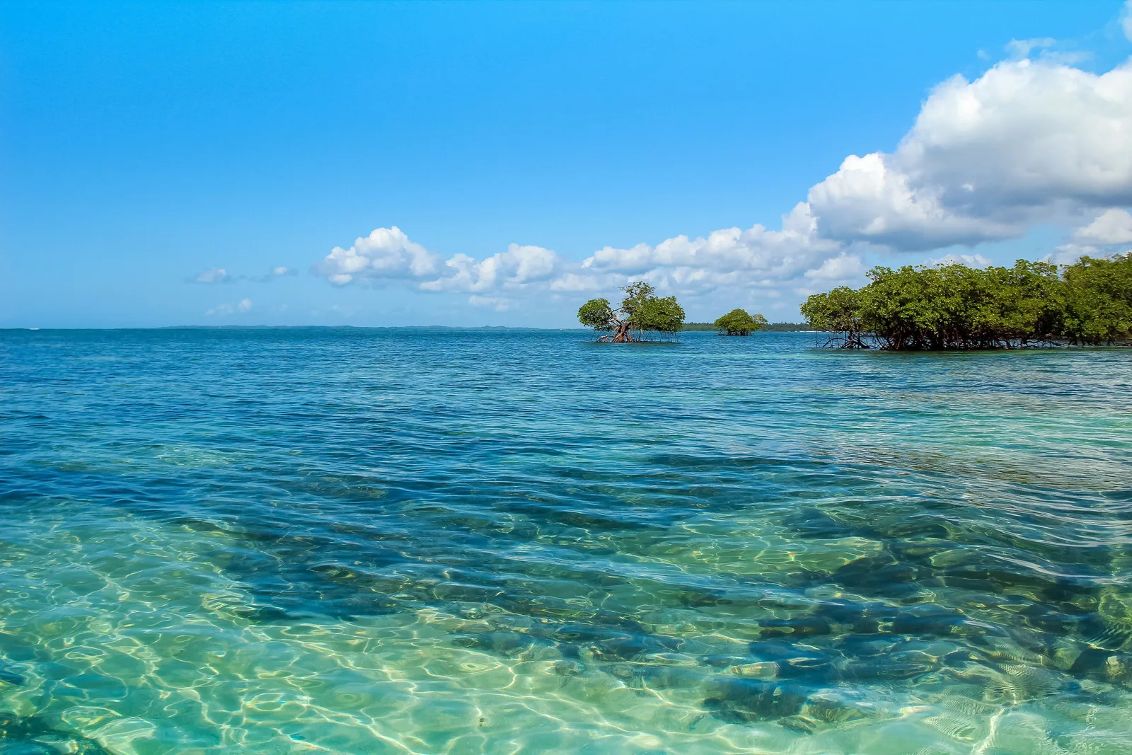 Clear green water over pale sand and reef at the natural pools off Garapuá, with a low line of mangrove islets on the horizon
