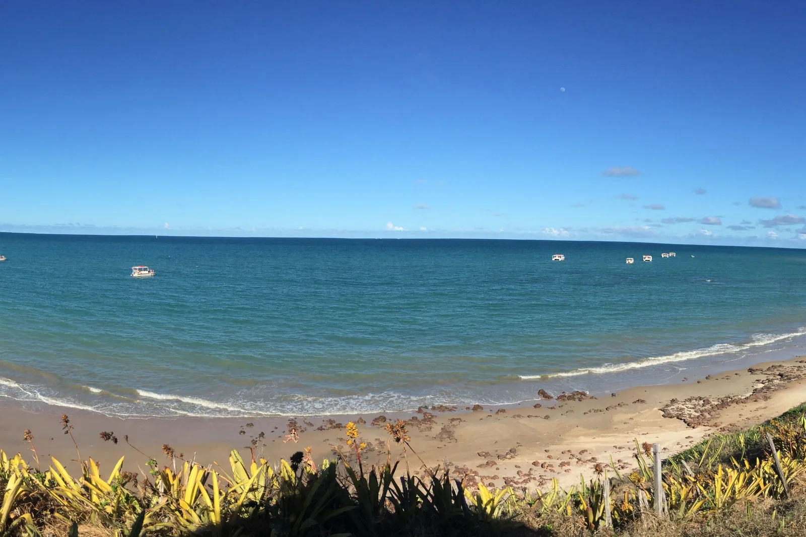 A wide bright view along the beach at Maracajaú with blue water, small boats offshore and green scrub in the foreground