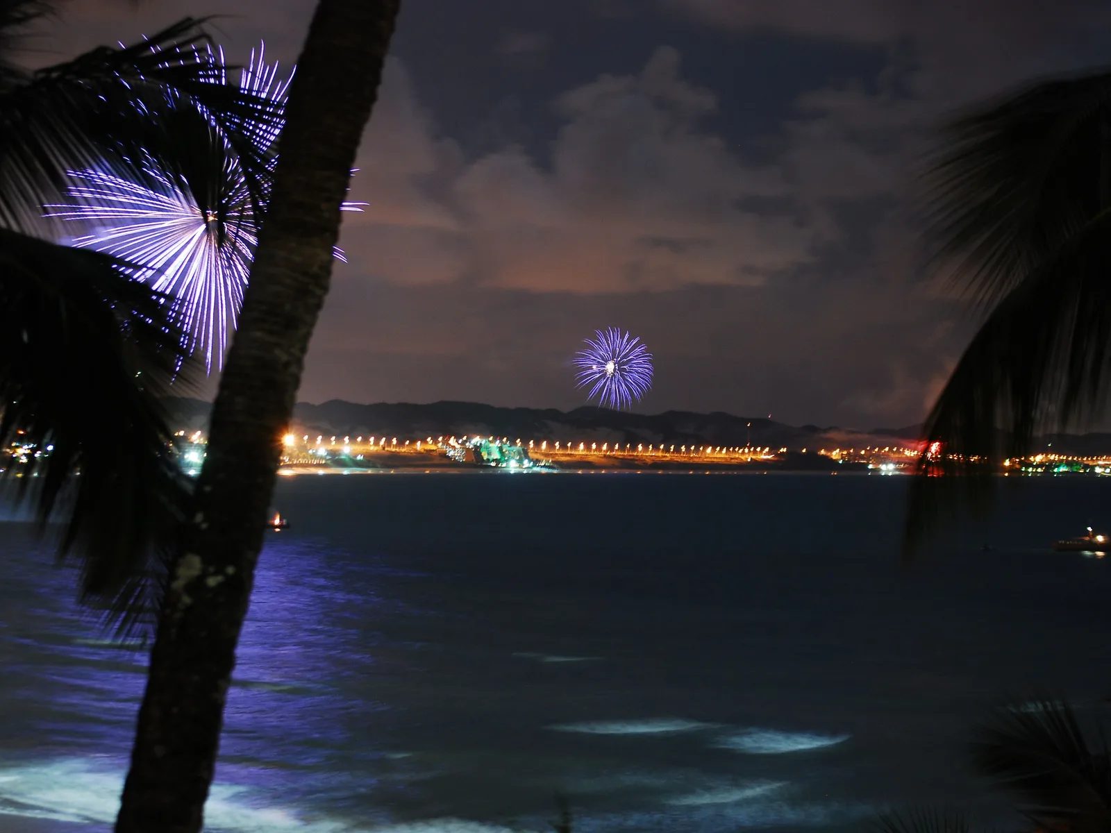 New Year fireworks bursting over a long lit shoreline across dark water at Ponta Negra, seen past a palm trunk and fronds
