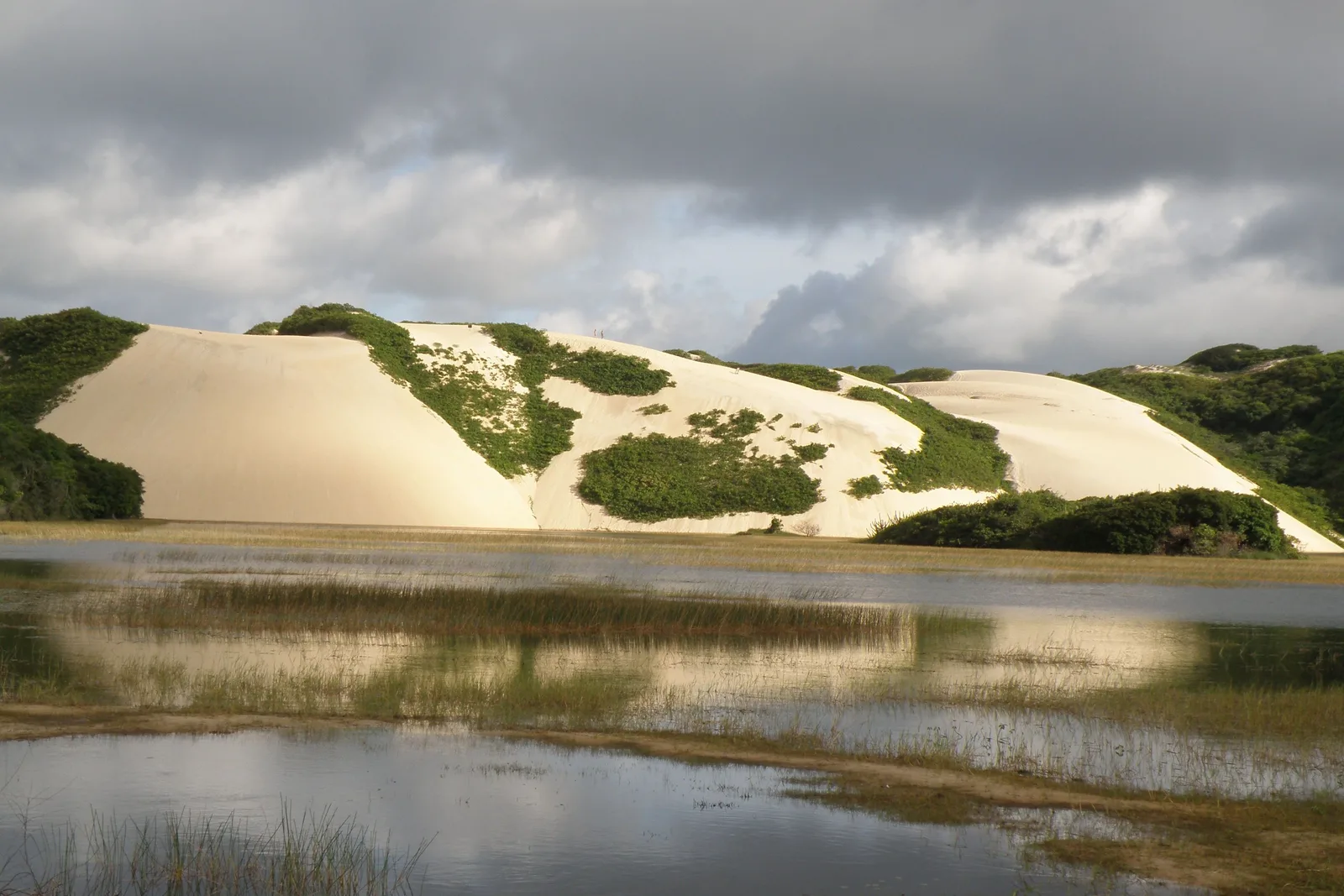Pale dunes above a shallow reed-fringed lagoon at Genipabu in the late afternoon