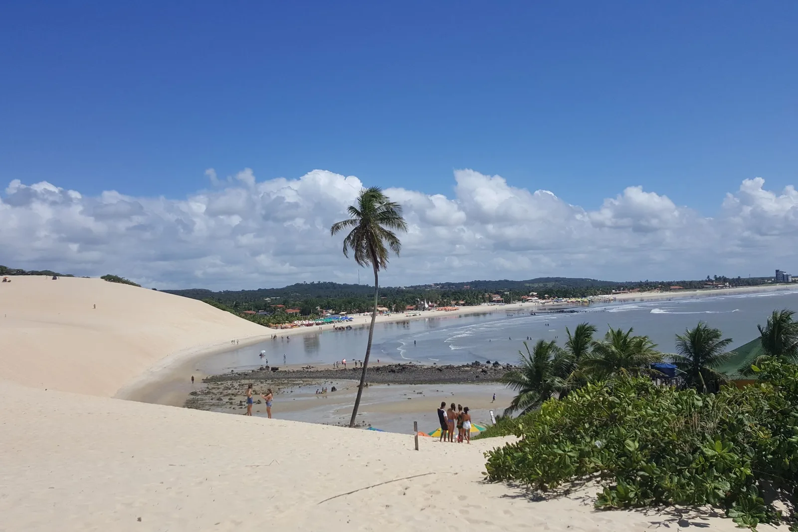 A dune slope running down to the beach at Genipabu, with a single tall leaning coconut palm, small groups of people on the sand and the curve of the bay beyond