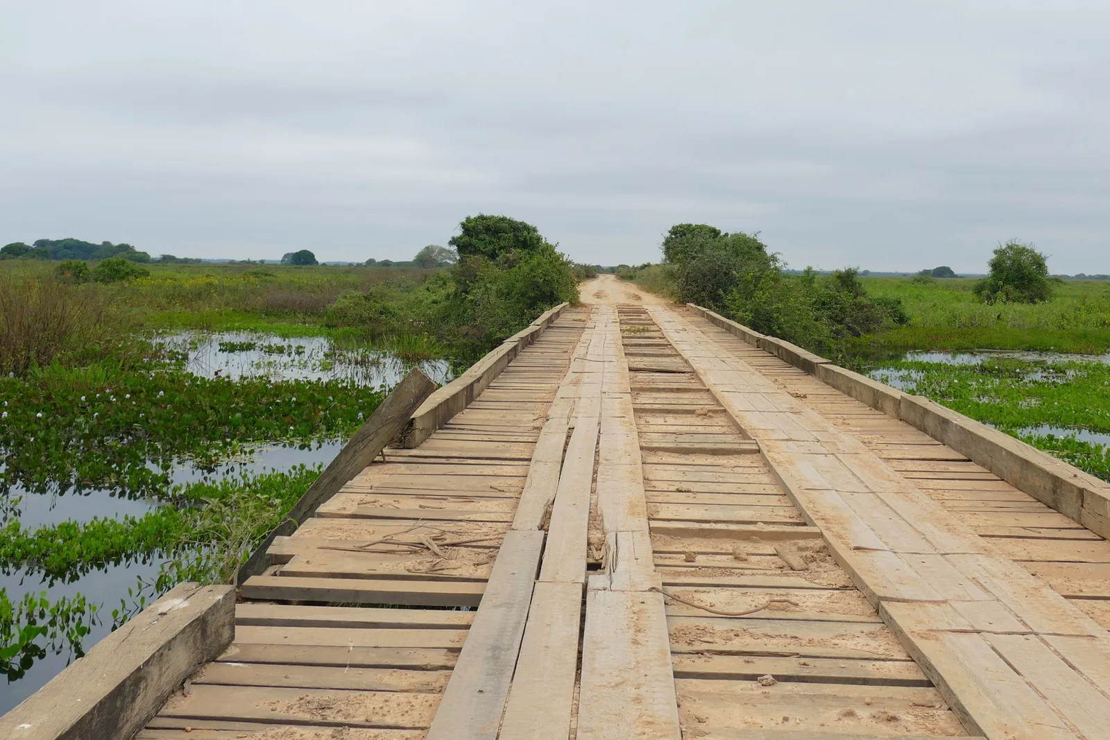 The deck of a wooden bridge seen from the road, loose planks and heavy timber wheel runners running away toward the horizon, water covered in floating hyacinth on both sides and the dirt road continuing beyond